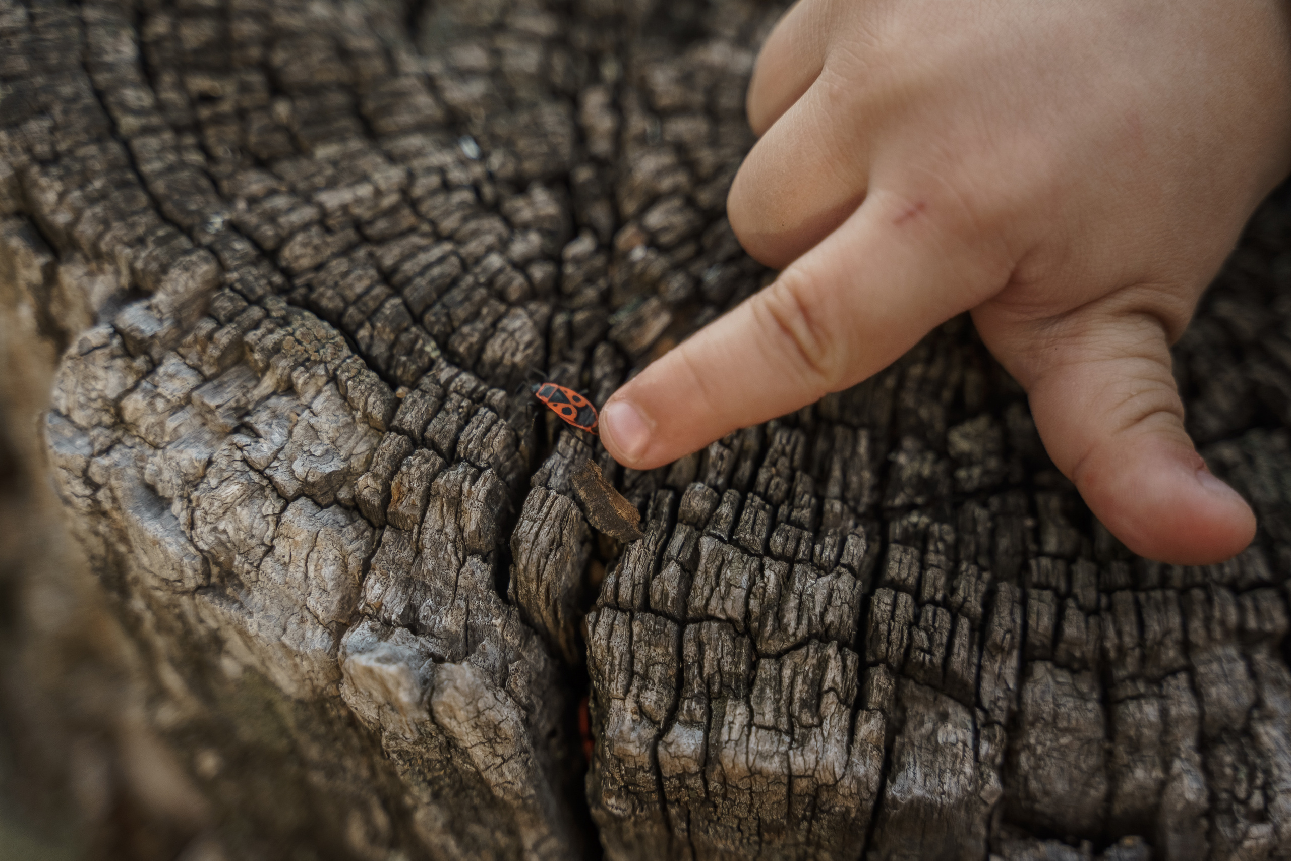 Рустем, Кристина и Демид. Свадебный семейный фотограф Ксения Божко Уфа Раевка никах в Нарыстау