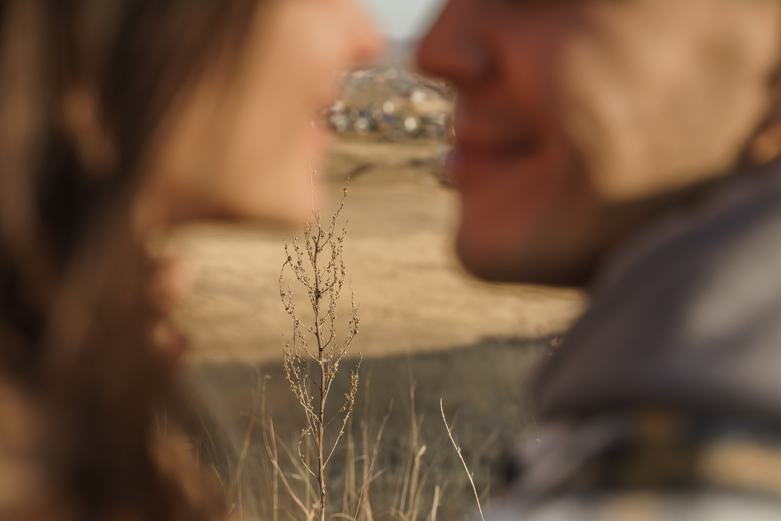 Рустем, Кристина и Демид. Свадебный семейный фотограф Ксения Божко Уфа Раевка никах в Нарыстау