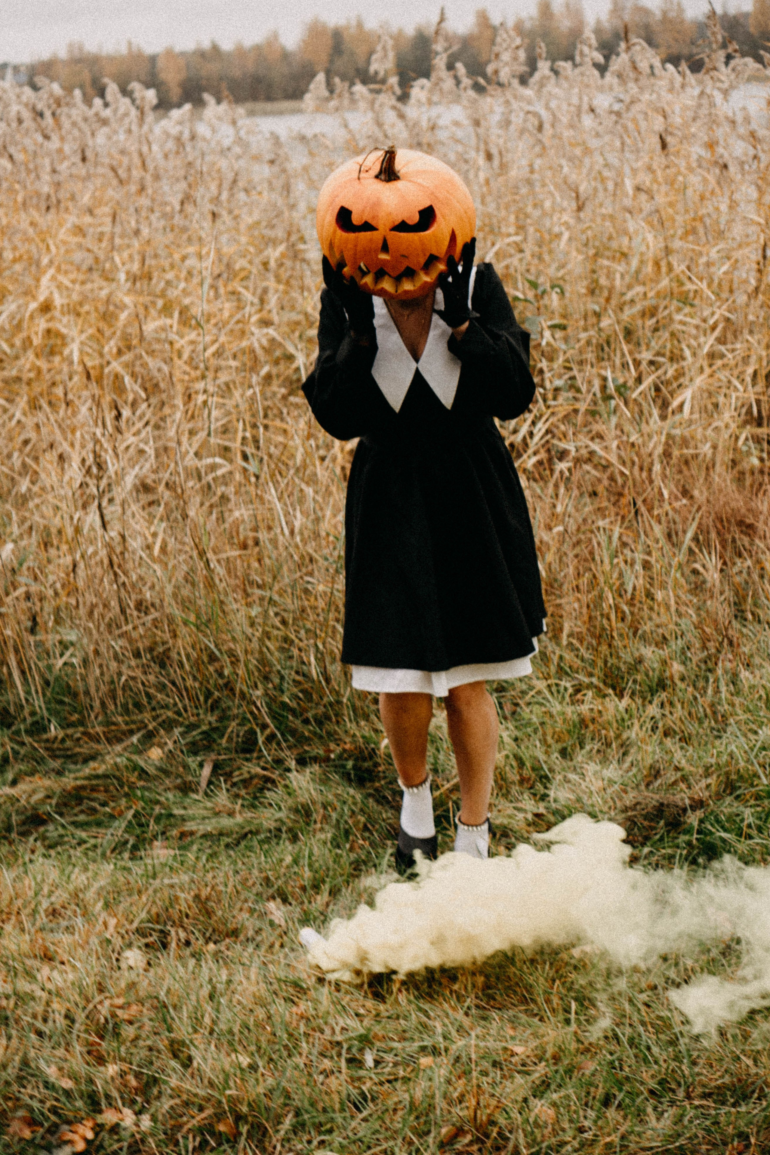 Осеняя. Профессиональный фотограф, Санкт-Петербург — Виктория Богомолова