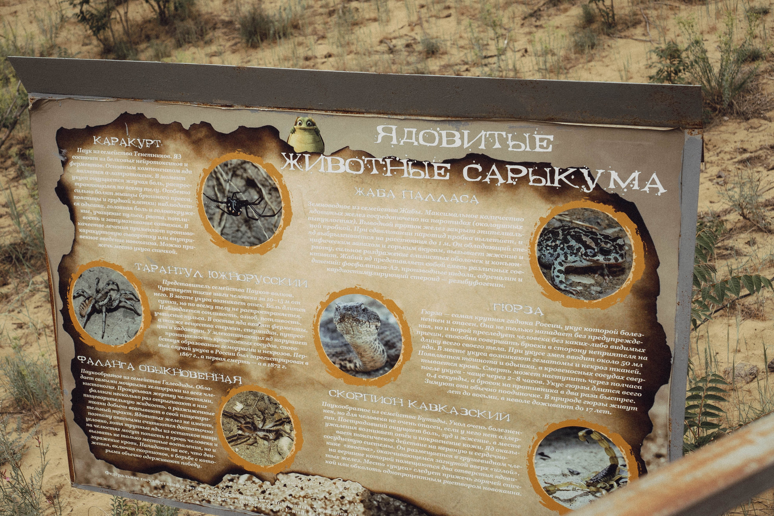 Кавказ. Профессиональный фотограф, Санкт-Петербург — Виктория Богомолова