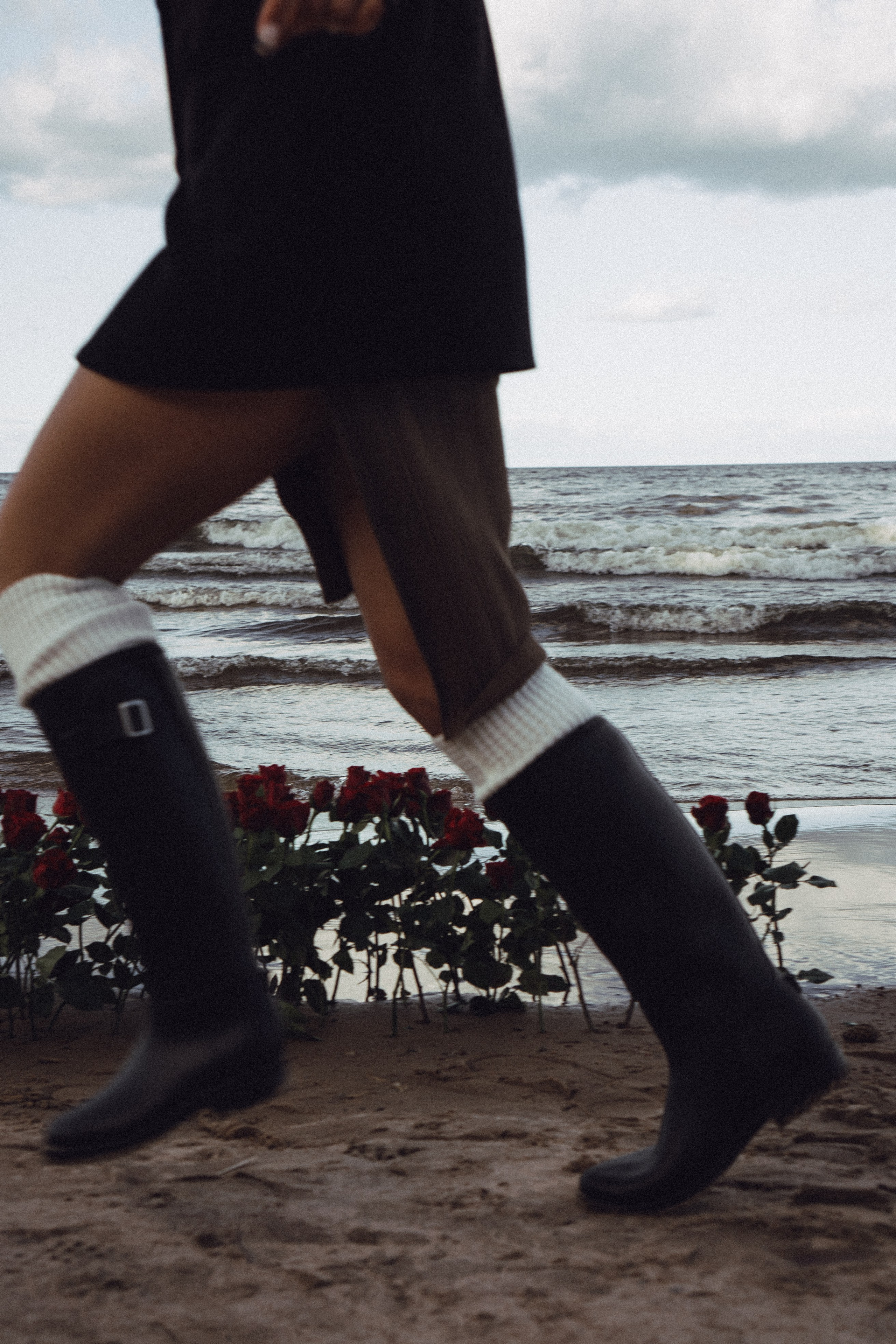 Розы. Профессиональный фотограф, Санкт-Петербург — Виктория Богомолова