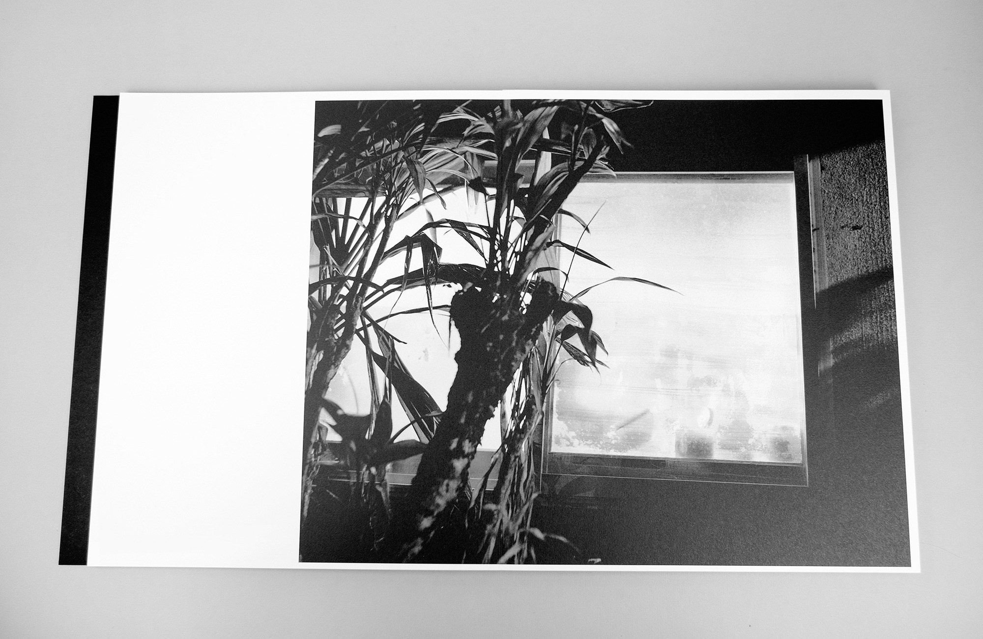 Как форма книги может влиять на концепт?. Самоорганизация Низина