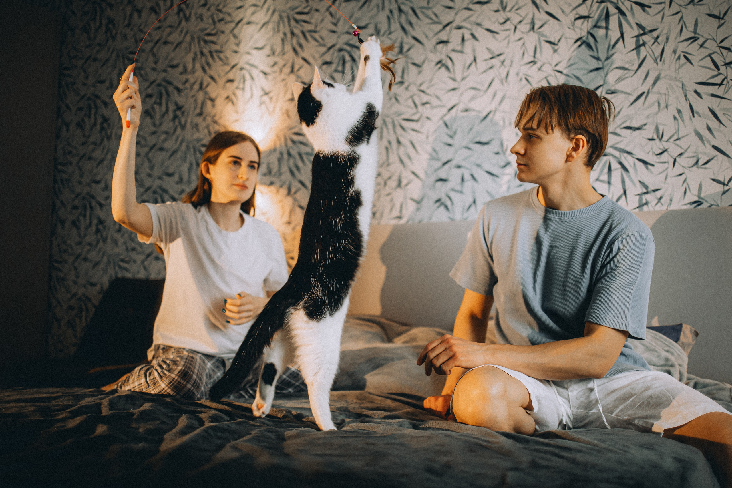 Рыся, Кепа и их семья