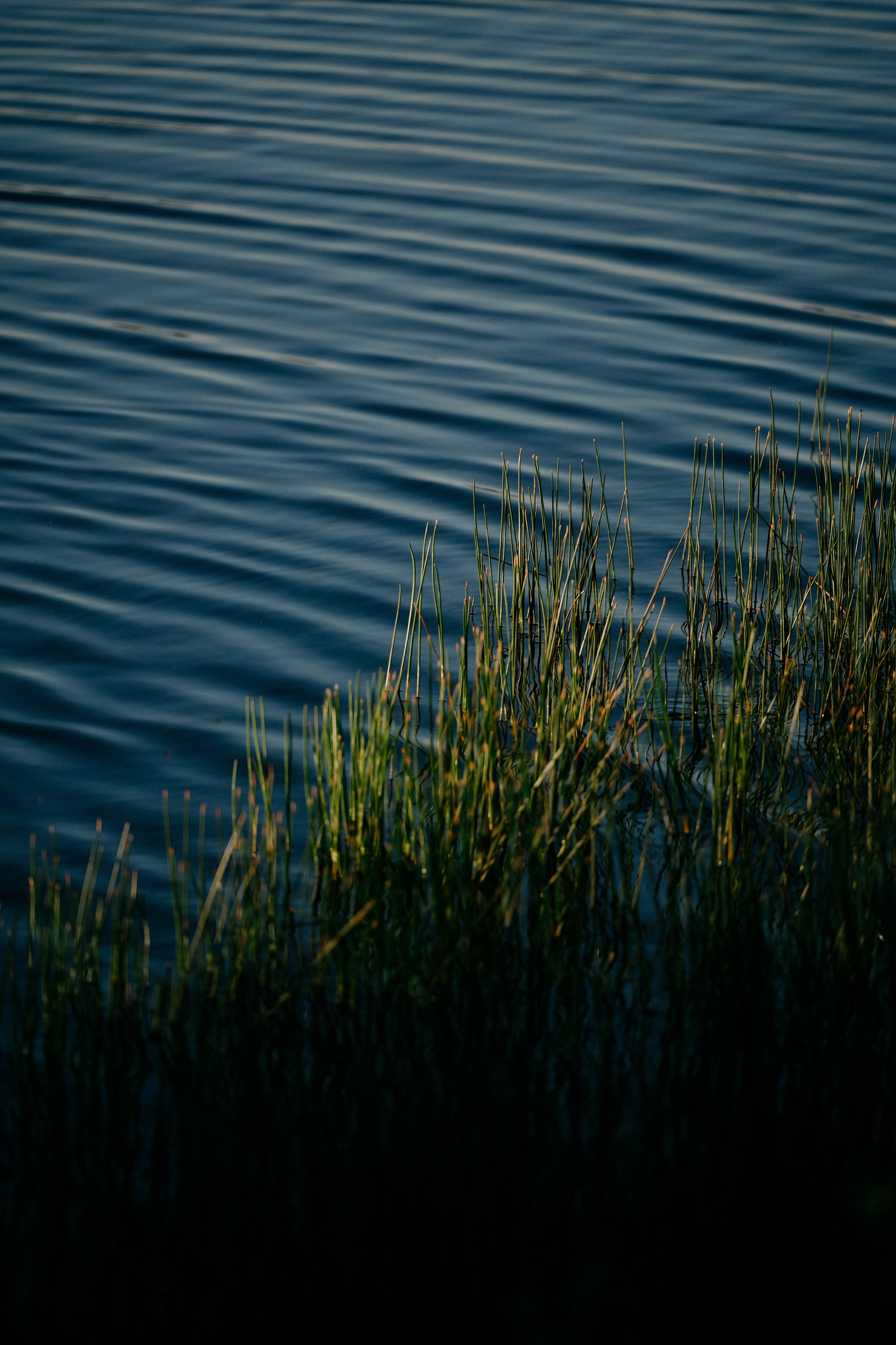 ArrowMedia. Фотограф в Москве Дмитрий Рогов