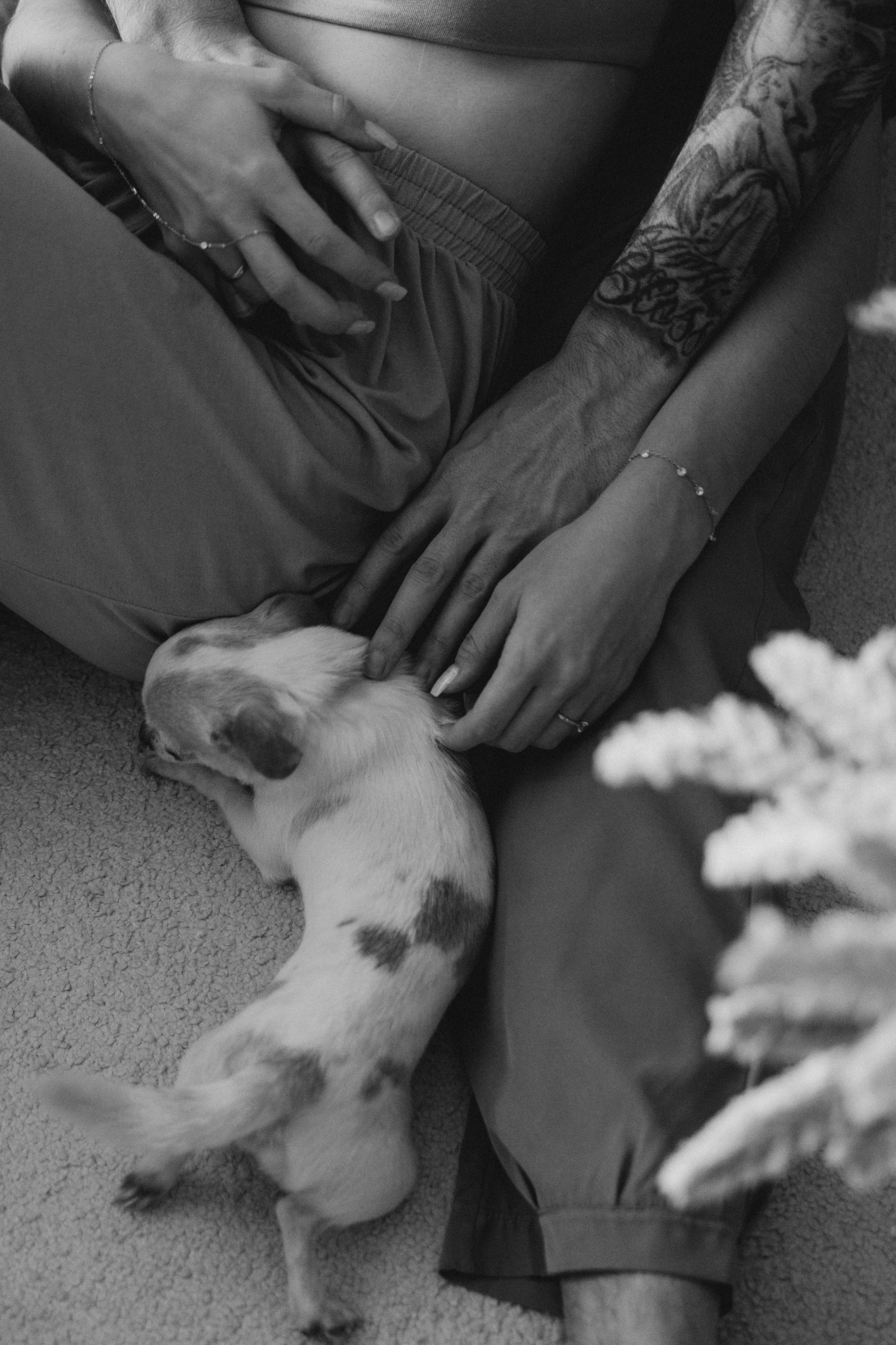 В гостях у Артемия. Свадебный фотограф Юлия Галкина Ростов на Дону