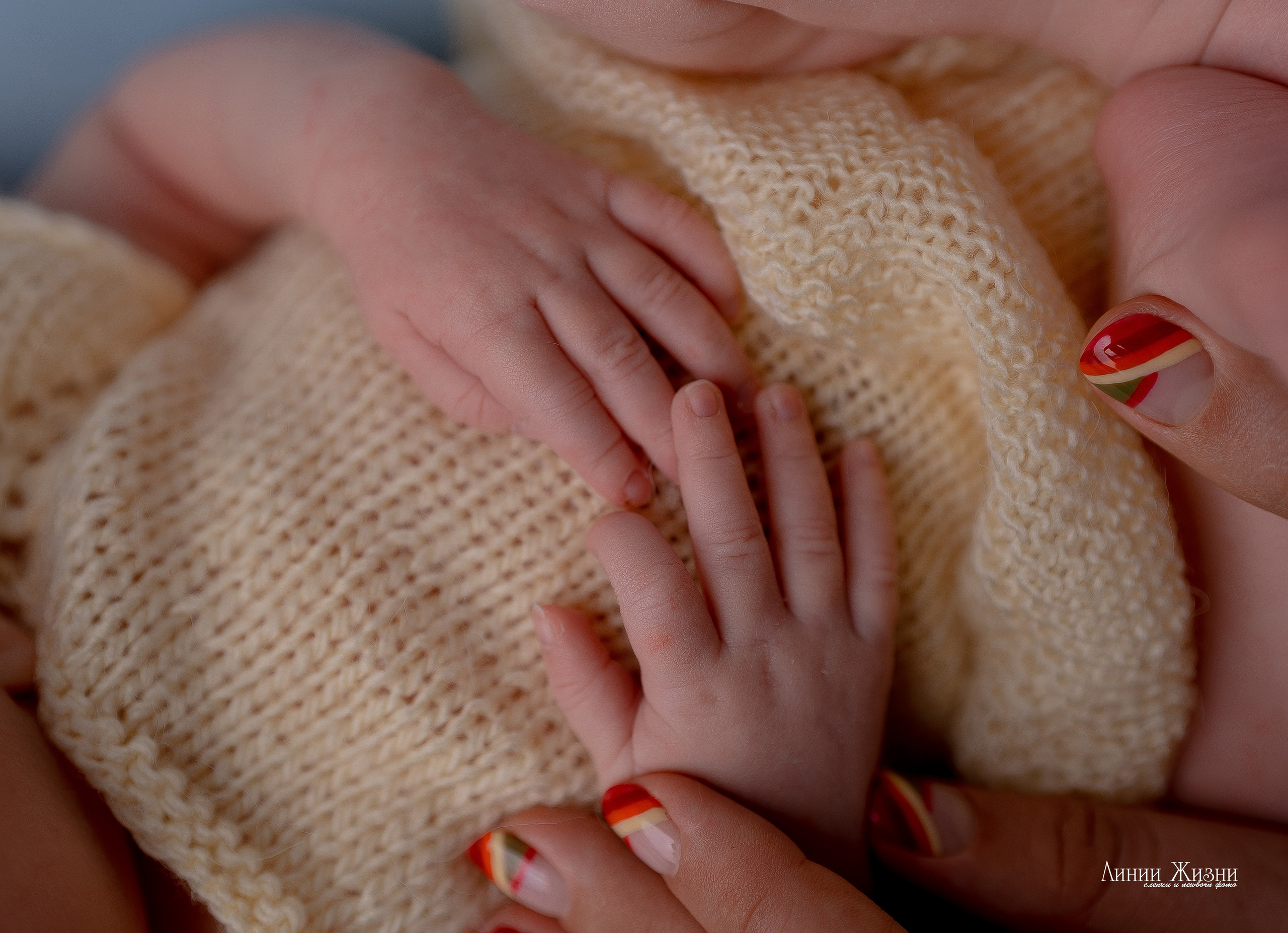 Альбина 14 дней. Фотограф новорожденных в Нижнем Новгороде Сергеева Оксана