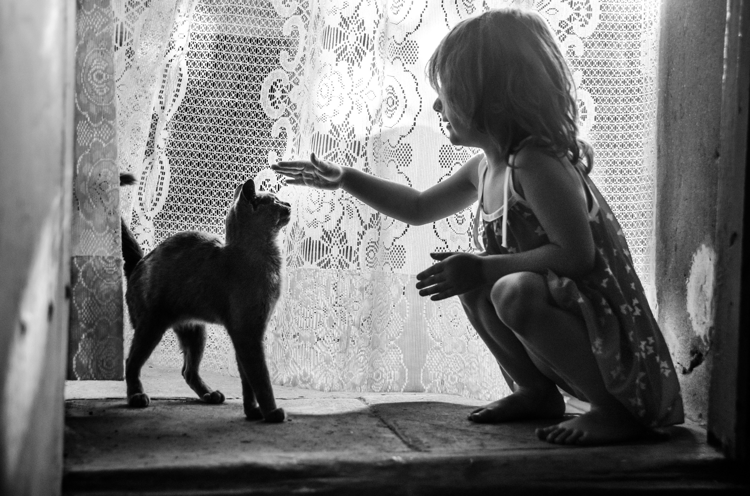 Серии «Кошка». Мультижанровый фотограф Дарья Strebog