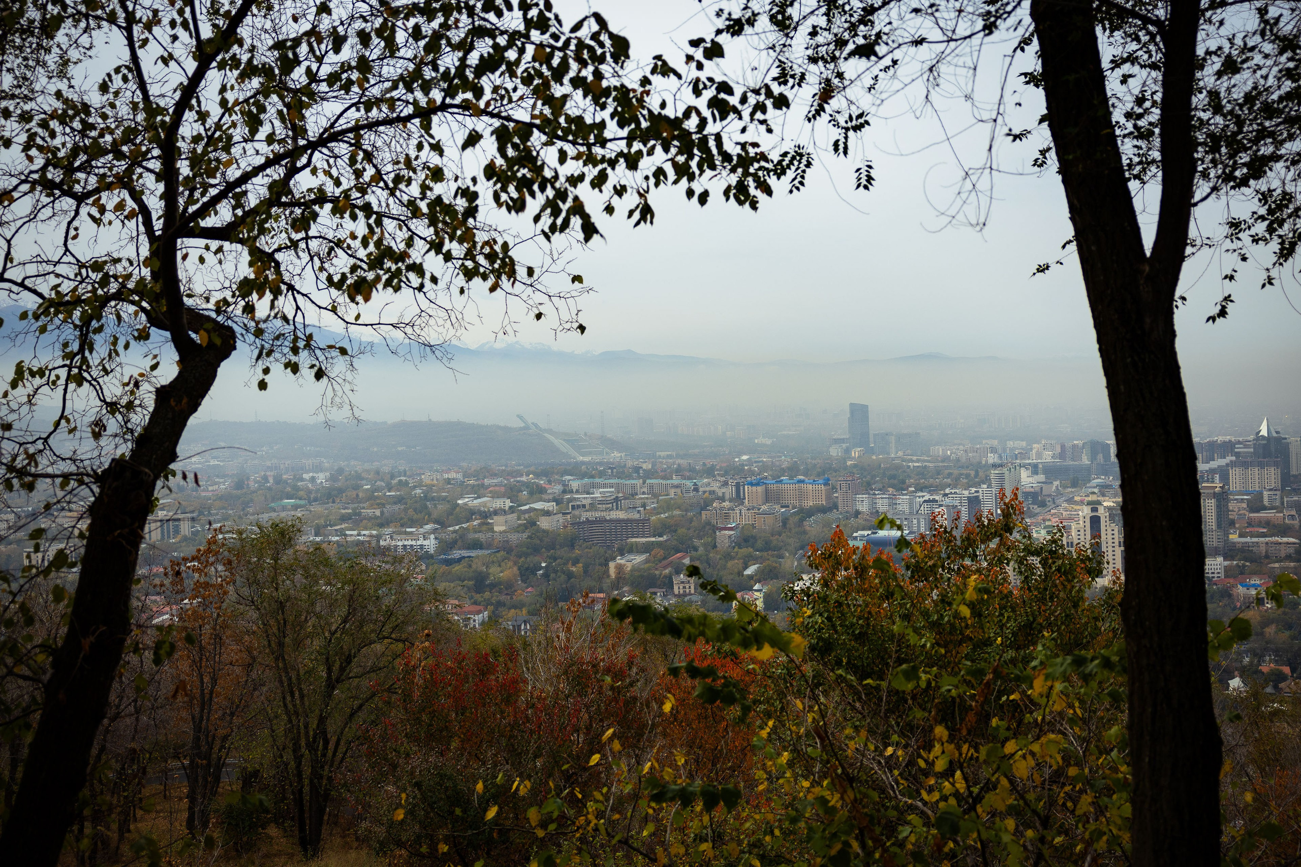 Казахстан (осень 2024). Фотограф Виноградов Константин