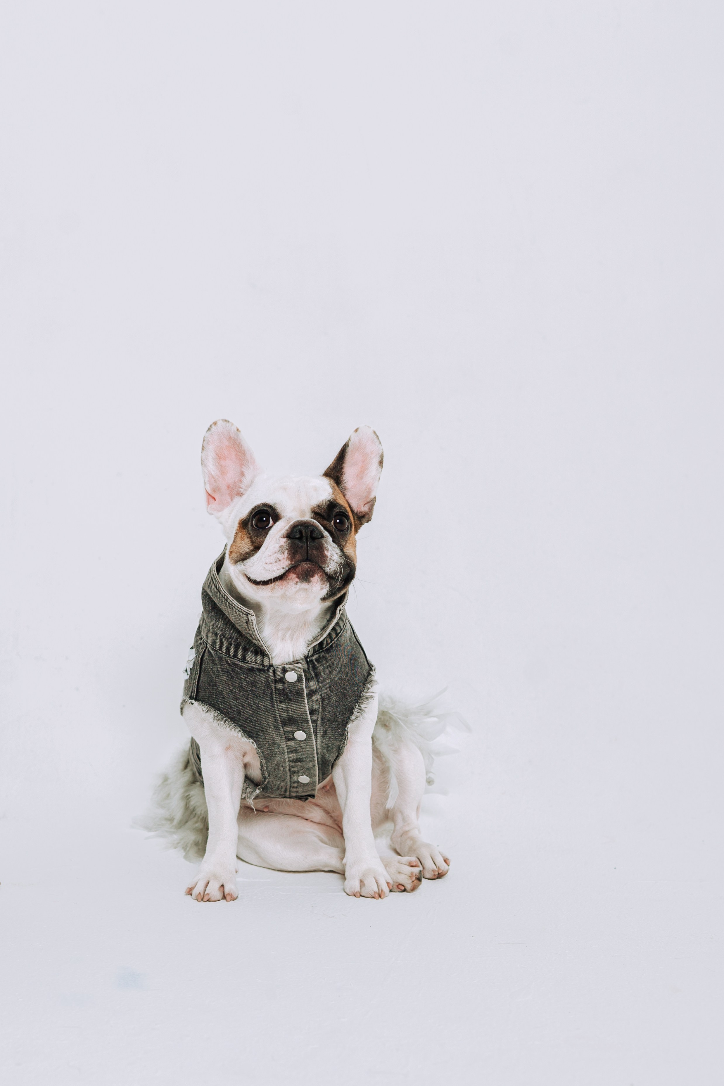 Бульвстреча 2025. Фотограф-анималист Татьяна Степанова