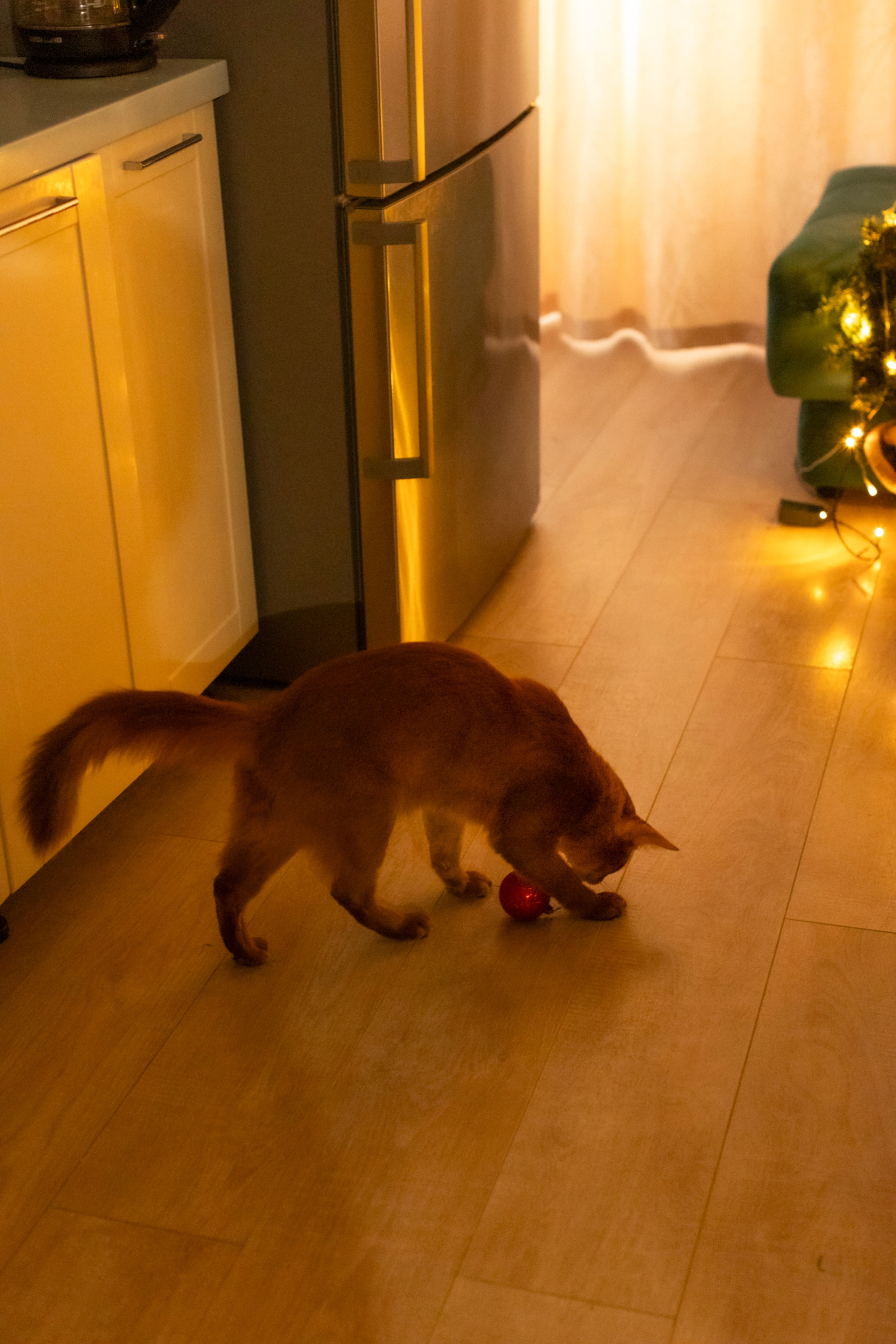 Сомали. Art my Pho