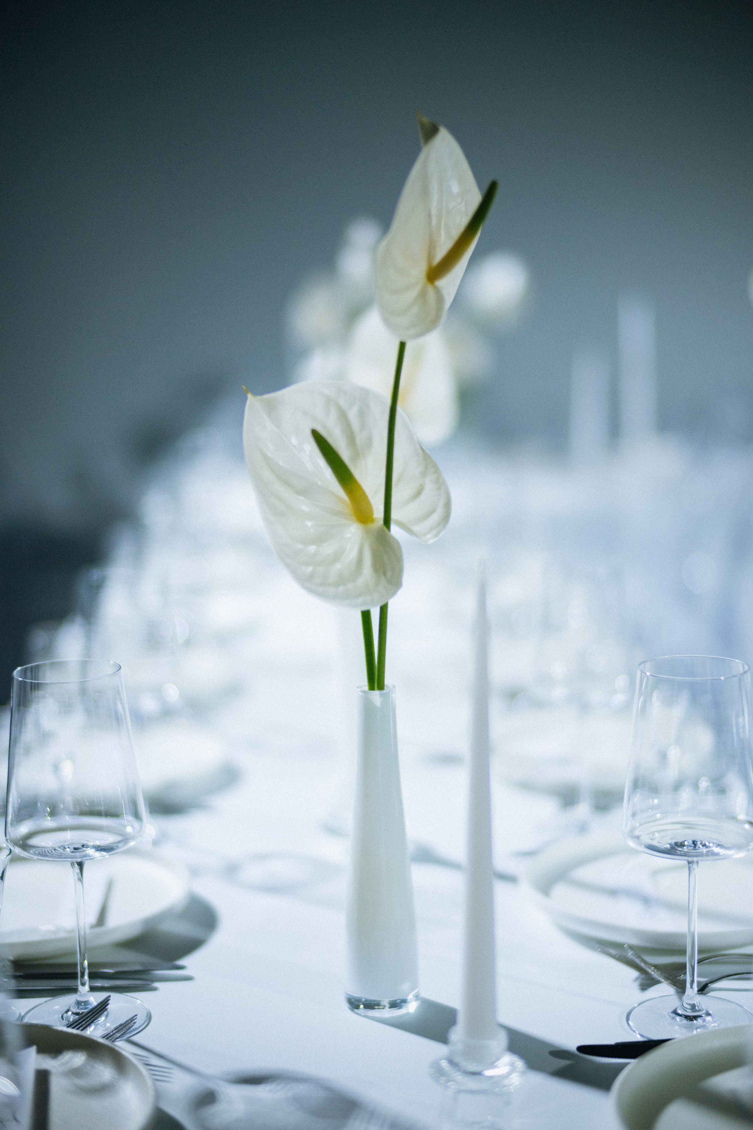 АЛЁНА И НИКИТА. Свадебный и семейный фотограф Никита Корохов