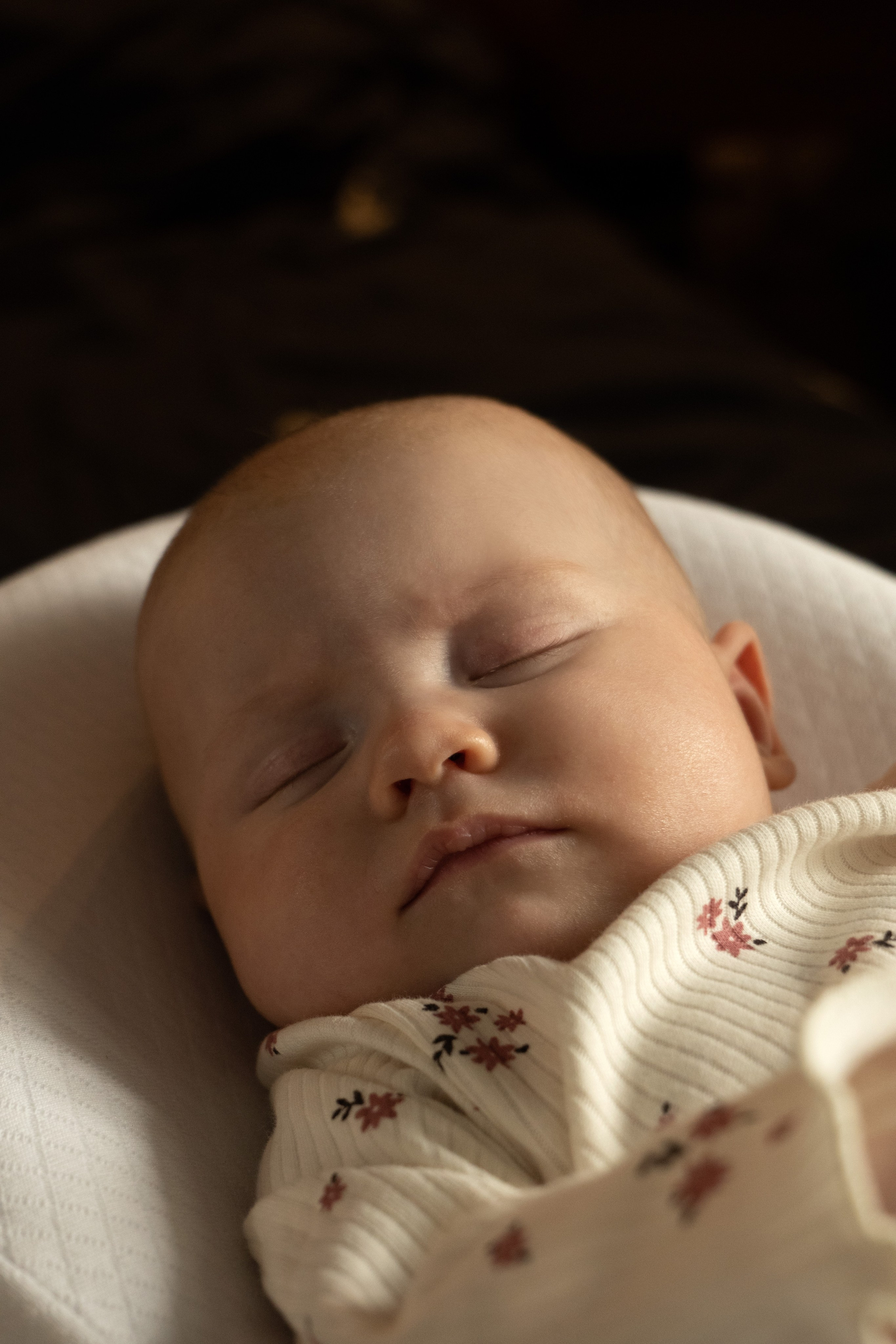 Семейная фотосессия (Ае 2 месяца). Фотограф видеограф Ольга Василевская