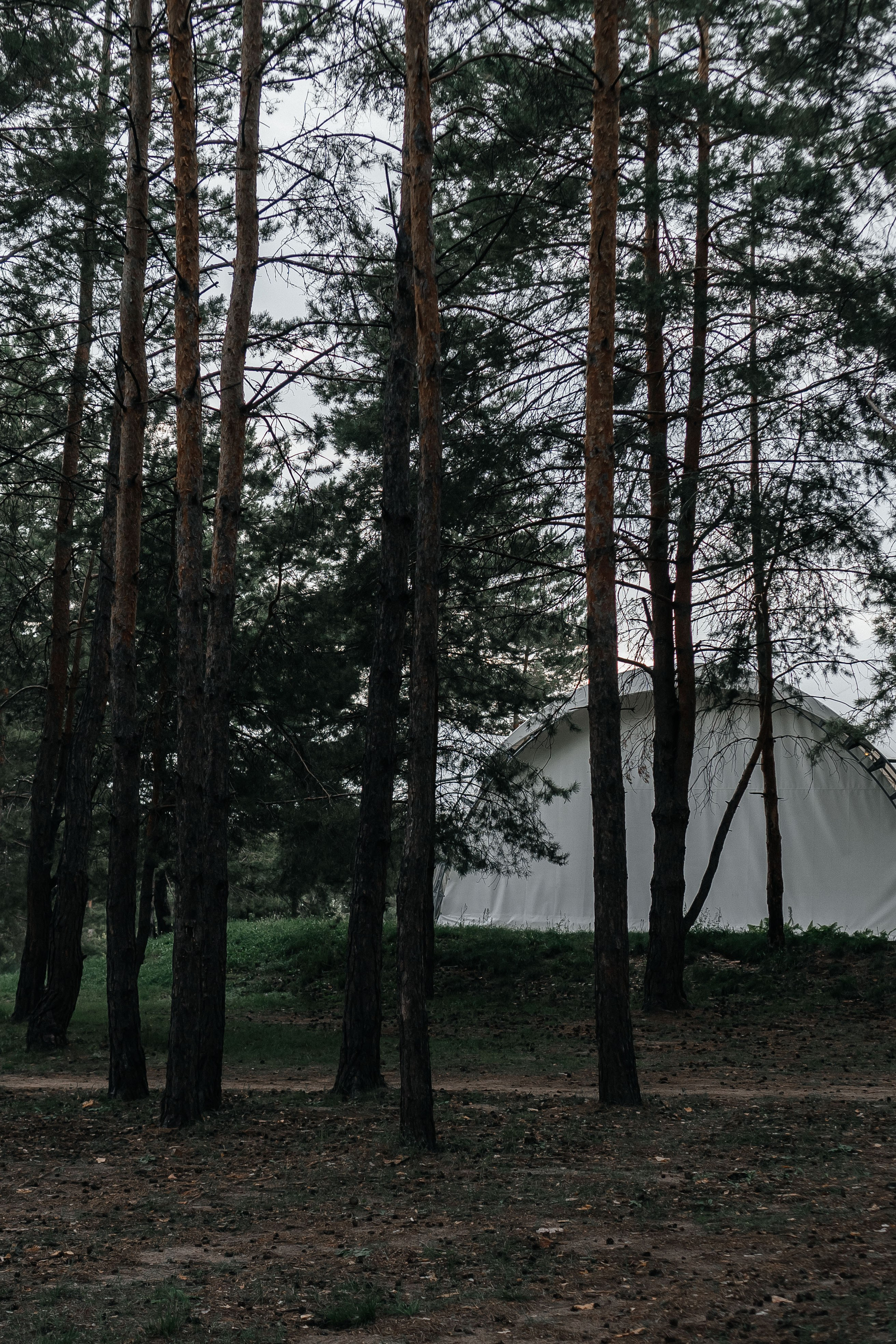 Дмитрий и Вероника. Фотограф Ульяновск Ксения Кеслер
