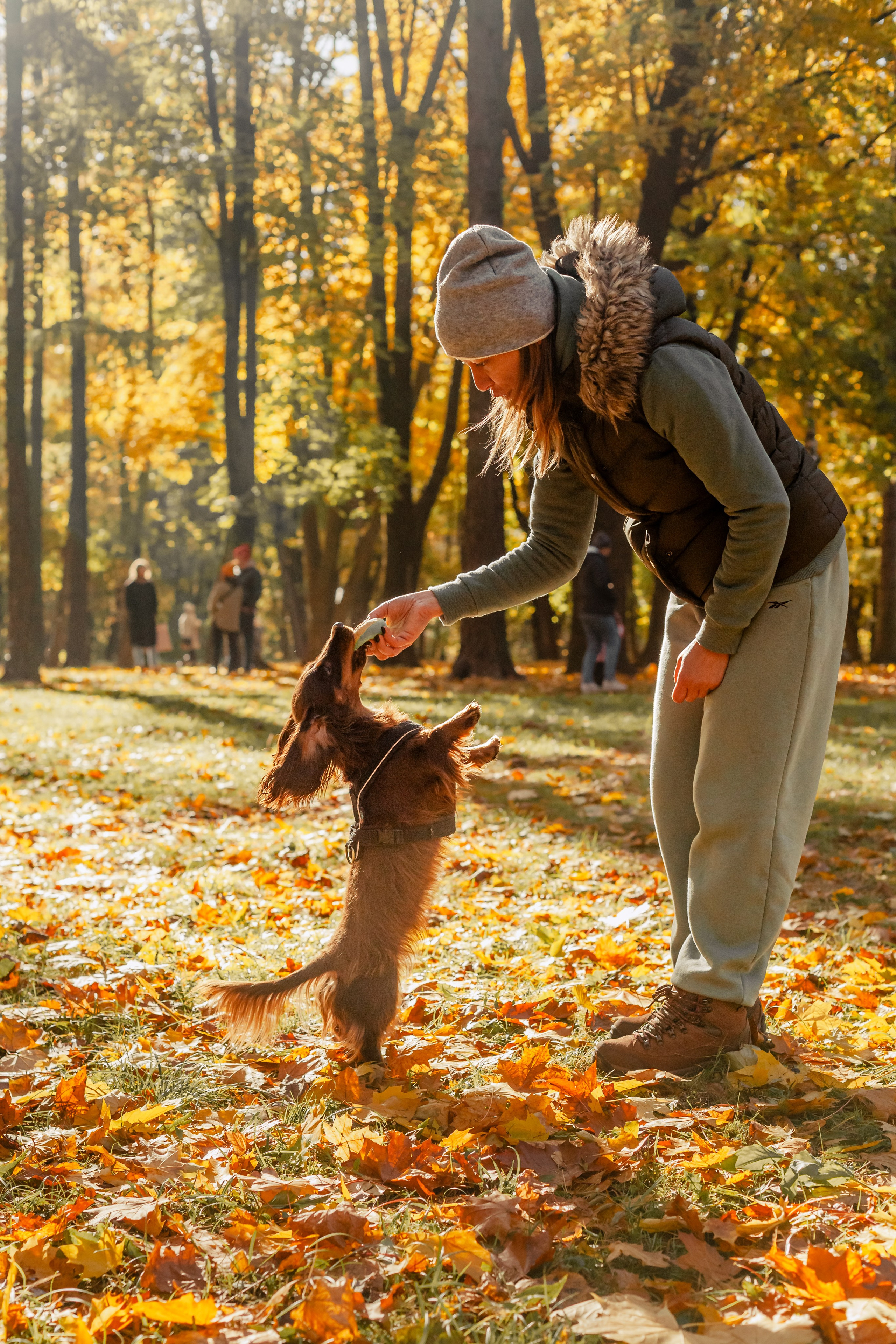 Света, Хайди, Богдана. Фотограф-анималист Татьяна Степанова
