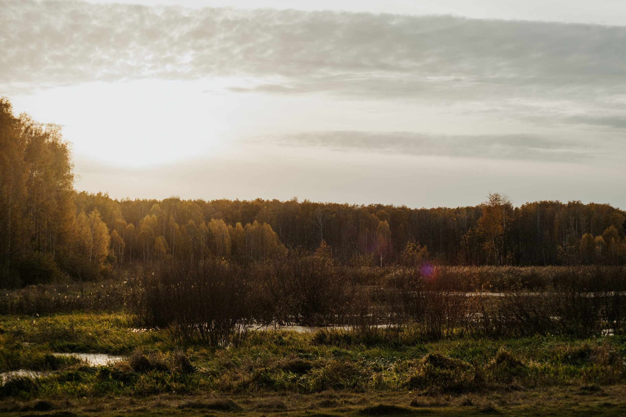 Warm Light of a Quiet Life. Whoii art