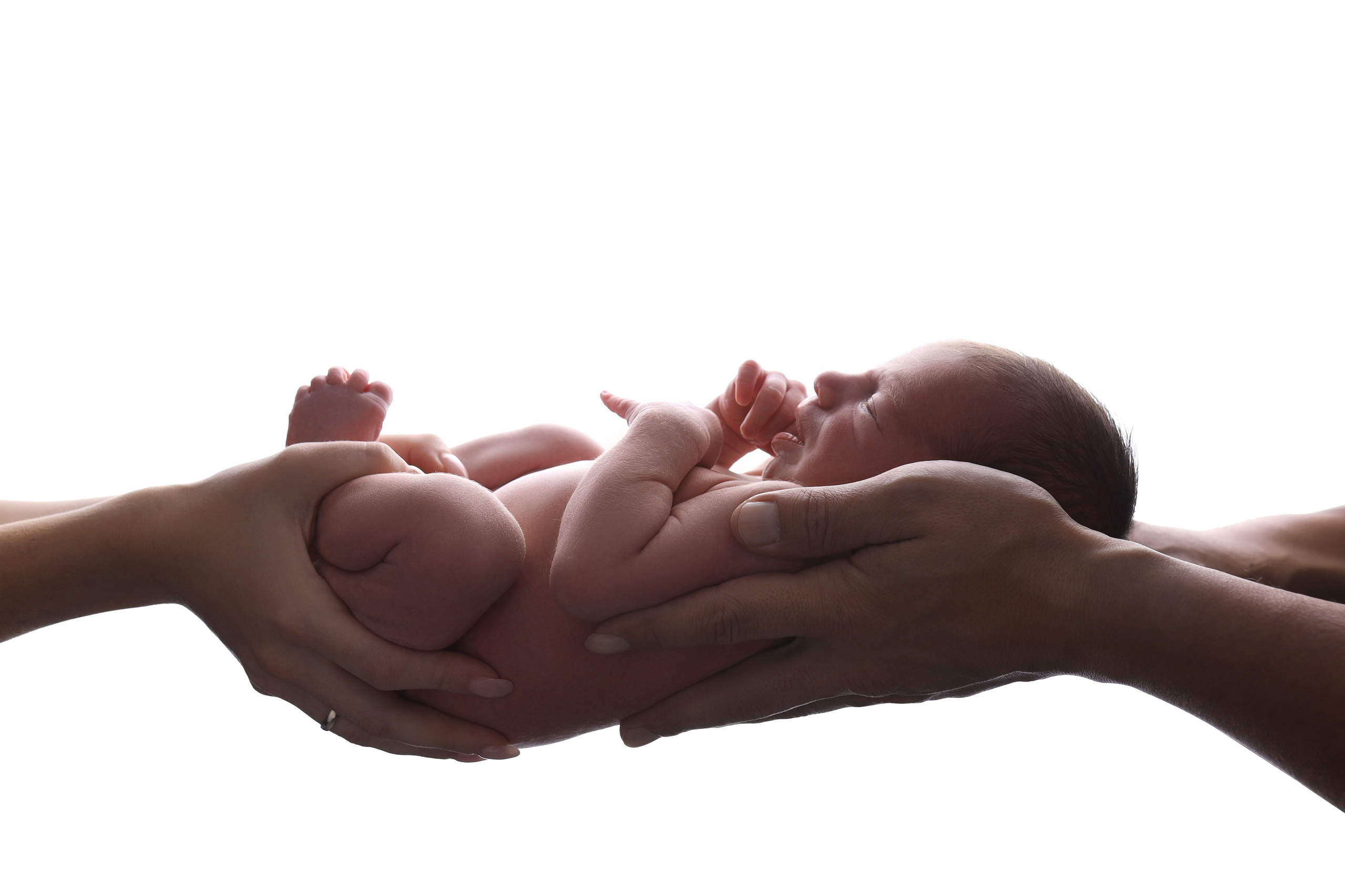 Newborn мальчики. Фотограф новорожденных Модяева Ирина