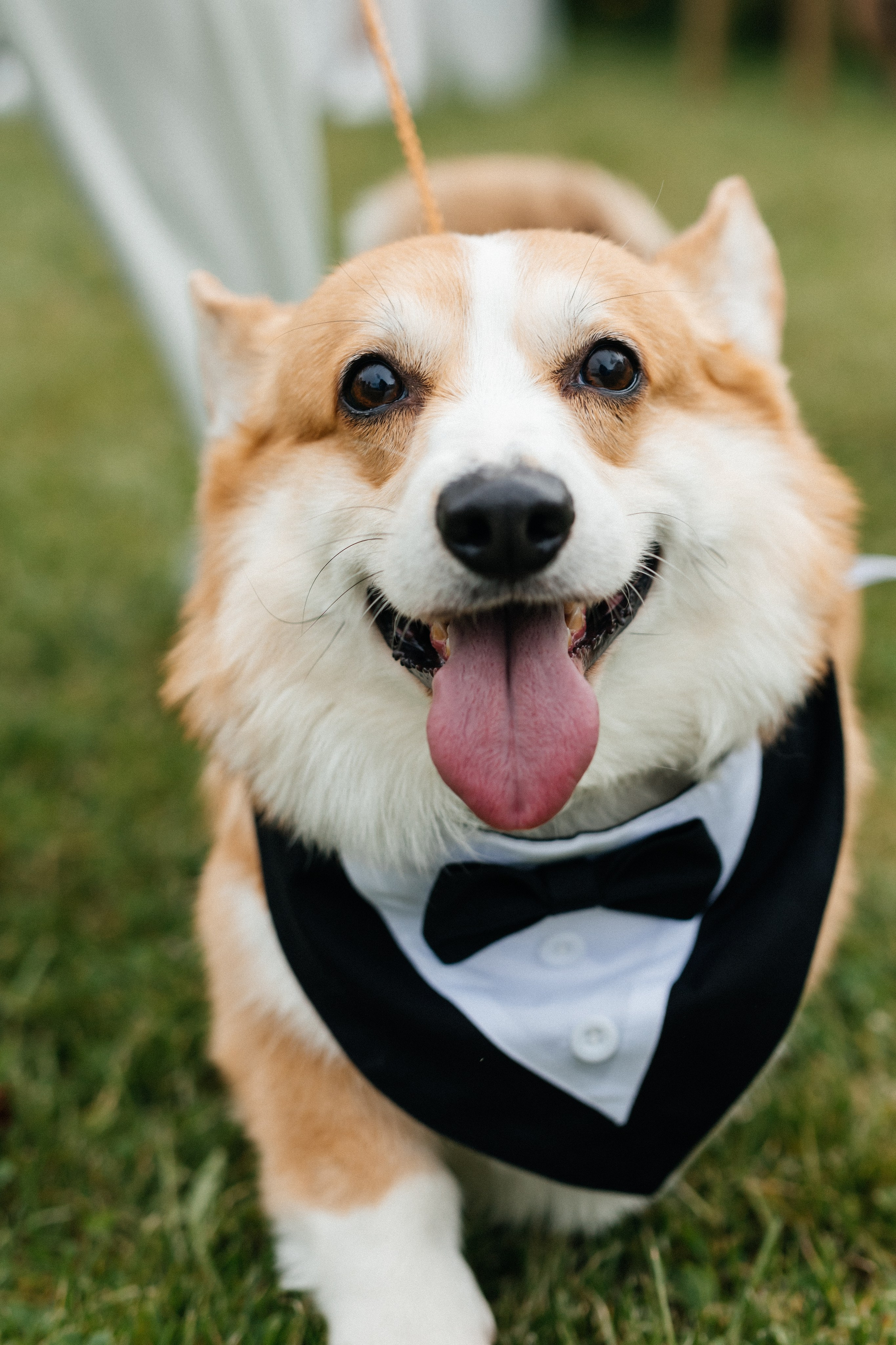 СВАДЕБНЫЕ СЕРИИ. СВАДЕБНЫЙ И РЕПОРТАЖНЫЙ ФОТОГРАФ | МИНСК, БЕЛАРУСЬ| ЮЛИАНА ВАСИЛЬКОВА