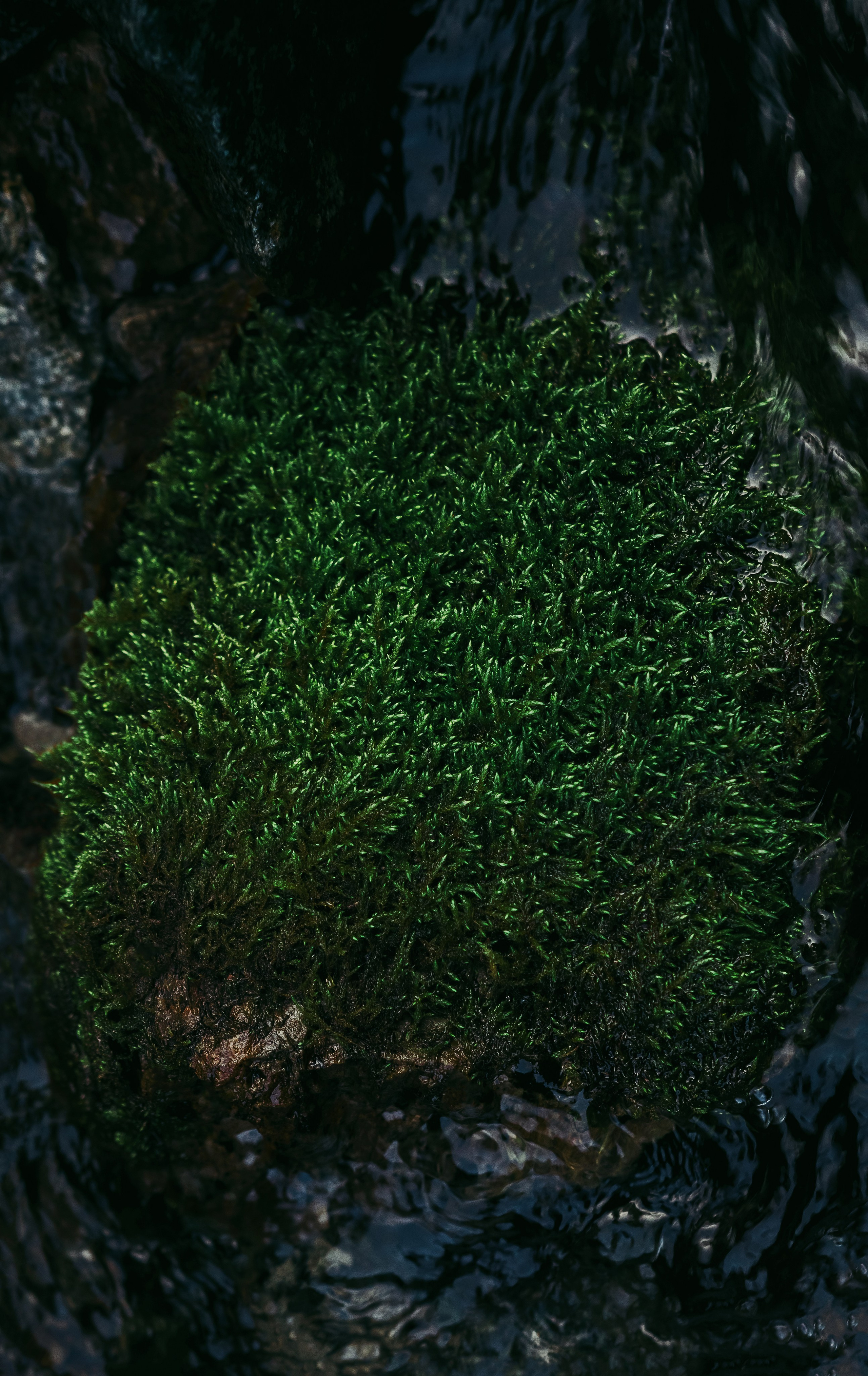 Жизнь. Фотограф Алматы | Весь мир — Никита Колодин