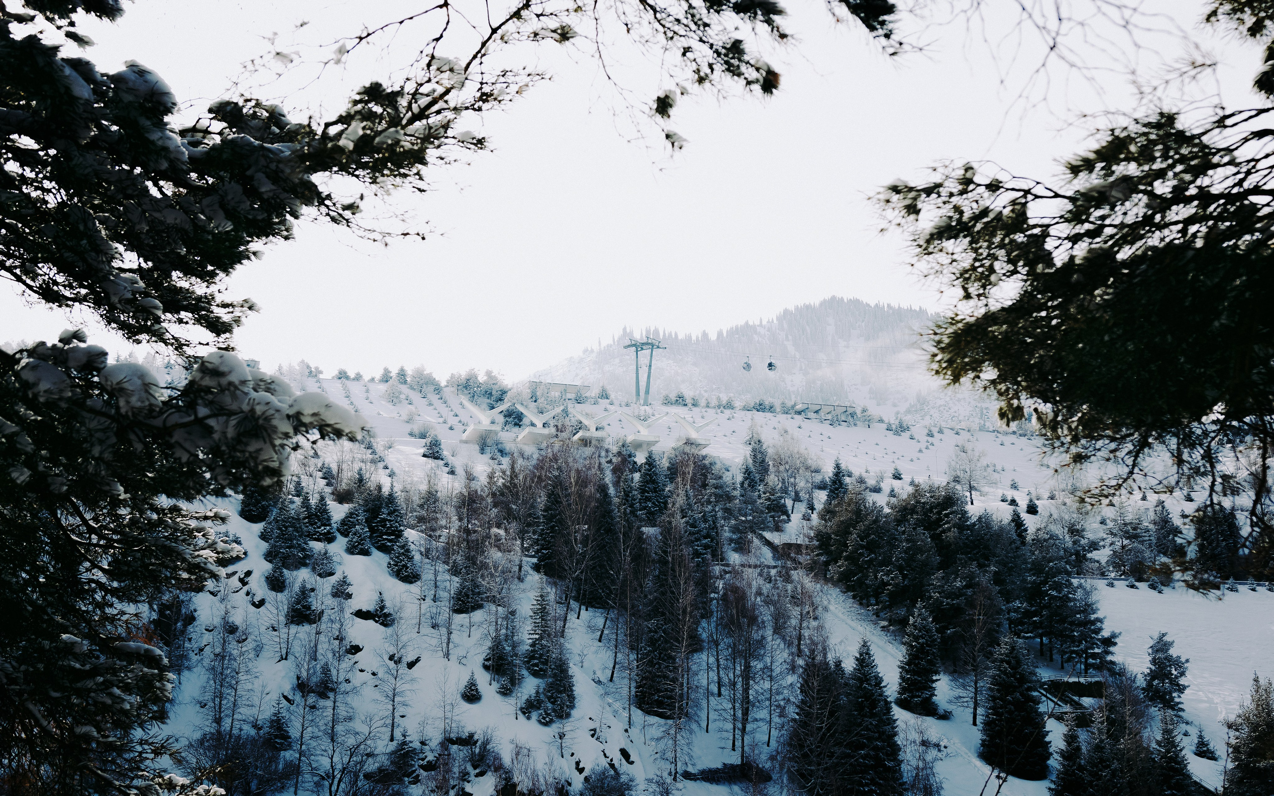 Жизнь. Фотограф Алматы | Весь мир — Никита Колодин