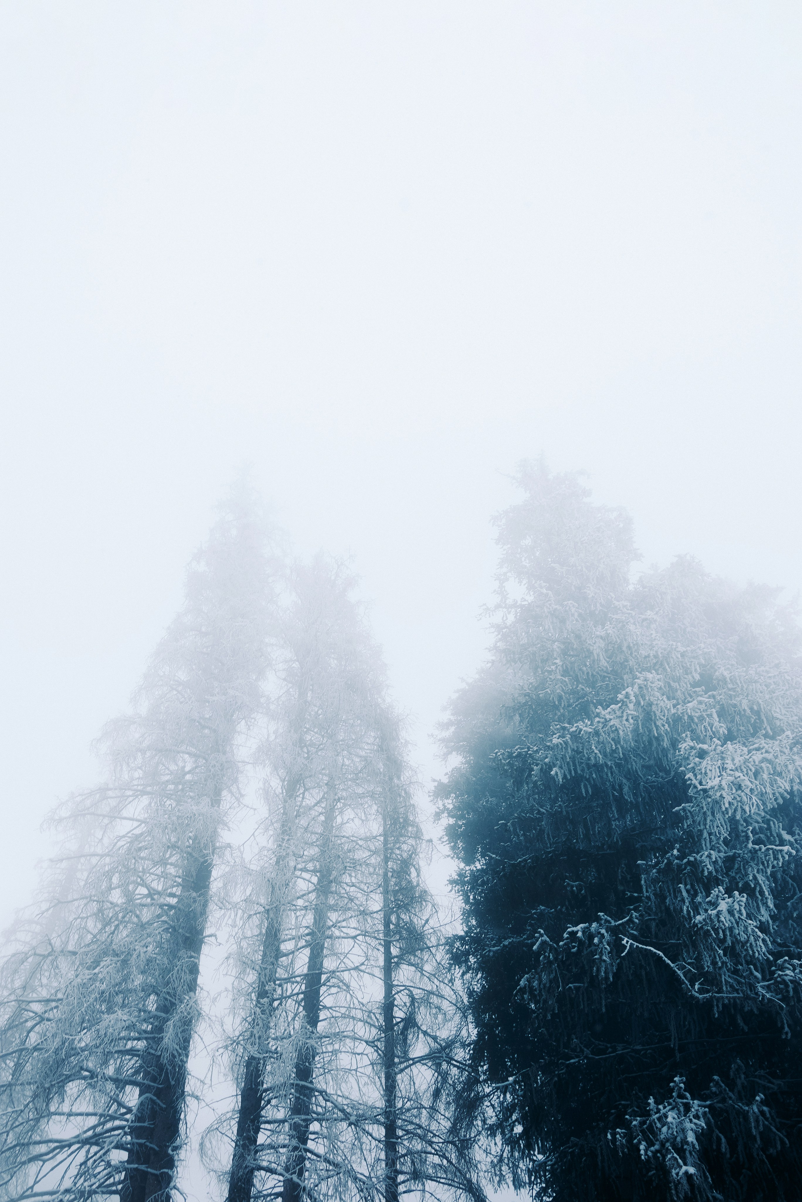 Жизнь. Фотограф Алматы | Весь мир — Никита Колодин