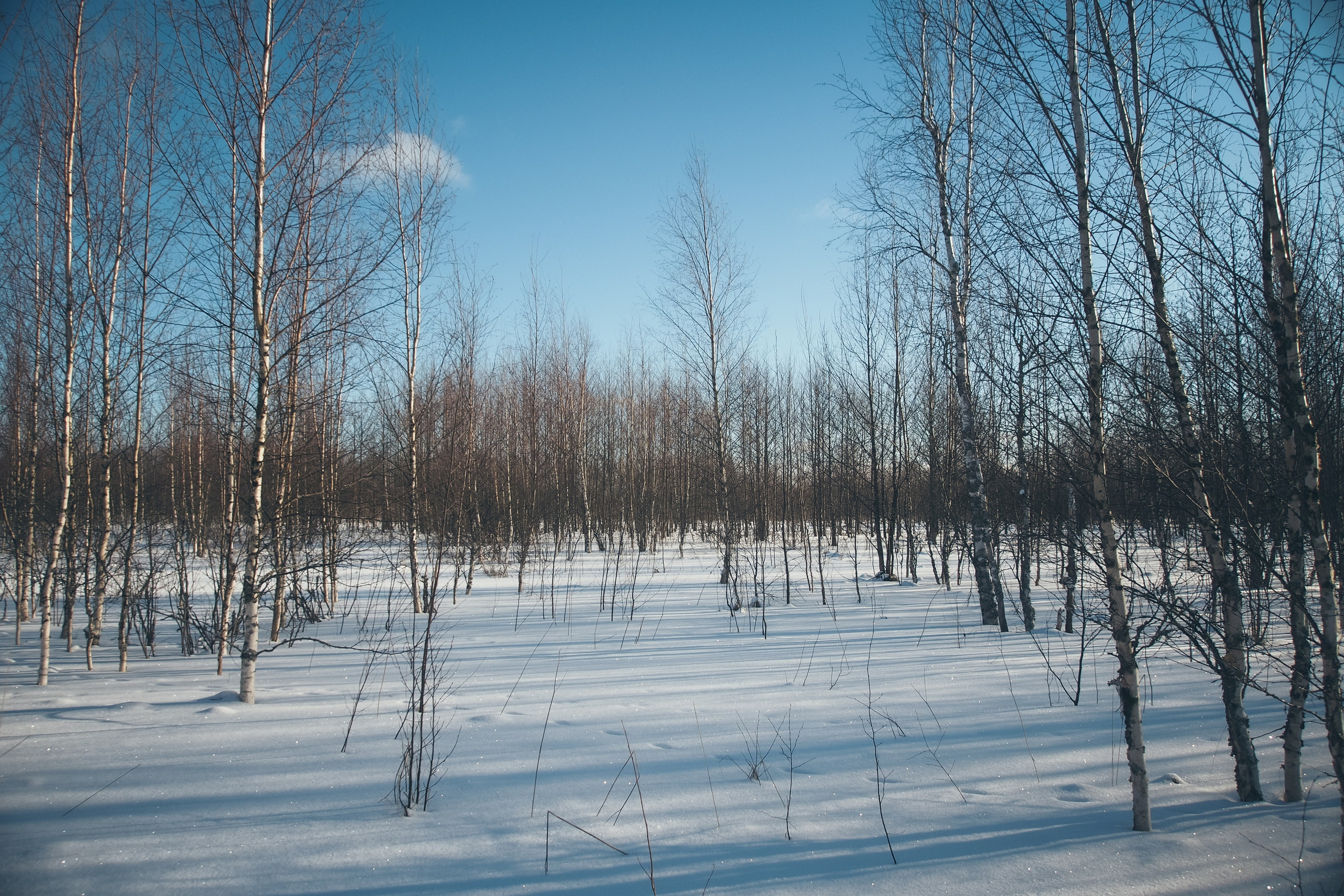 Раковые озера. Свадебный фотограф Копков Геннадий