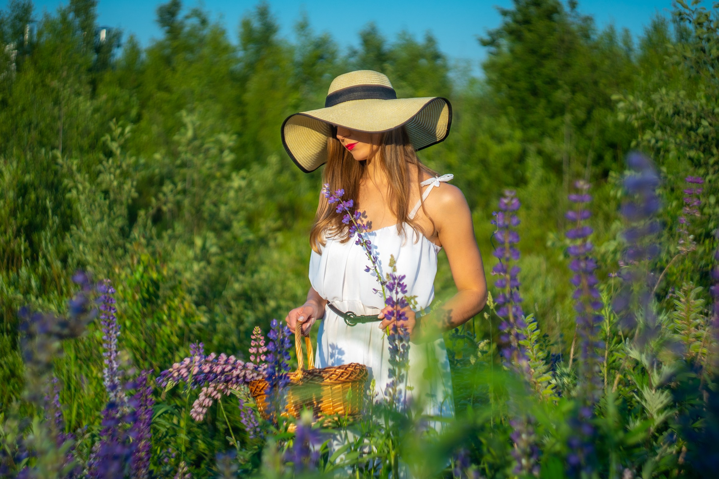 Лиза. Люпины. Портретный фотограф в Санкт-Петербурге Александр Быстрицкий