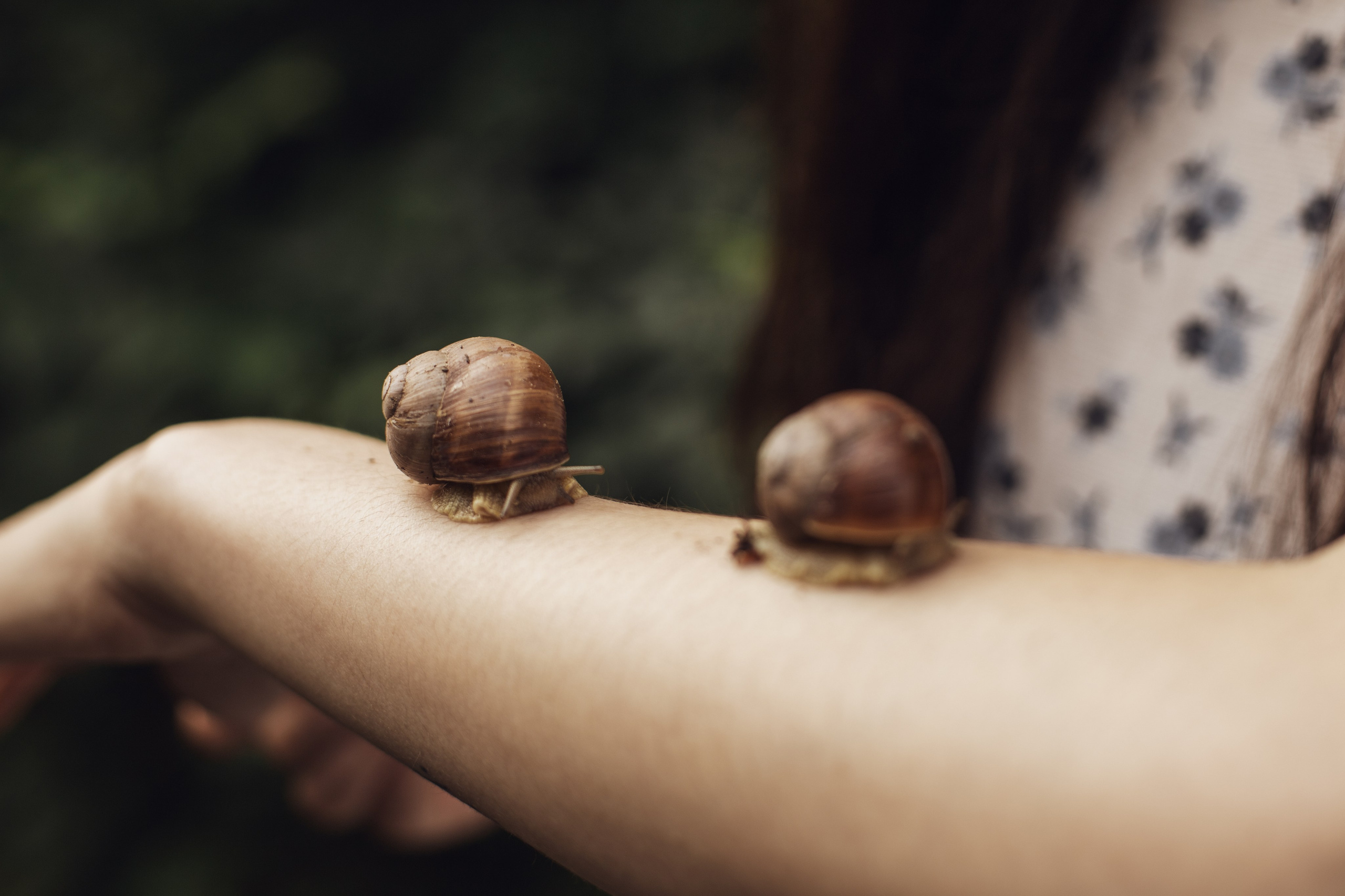 Ангелина. Свадебный и семейный фотограф в Ростове-на-Дону