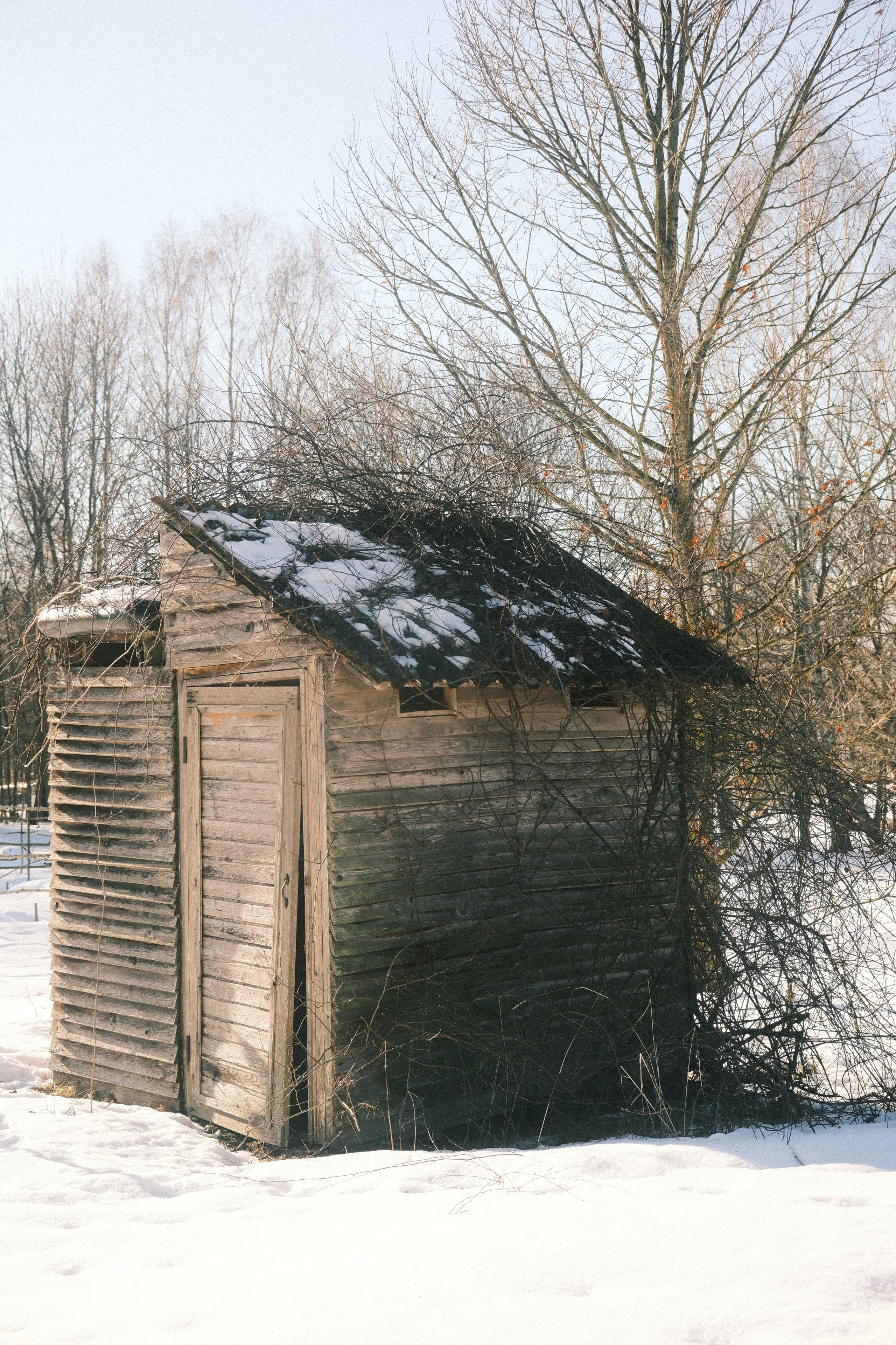 Nowhere and Everywhere. Портретный фотограф