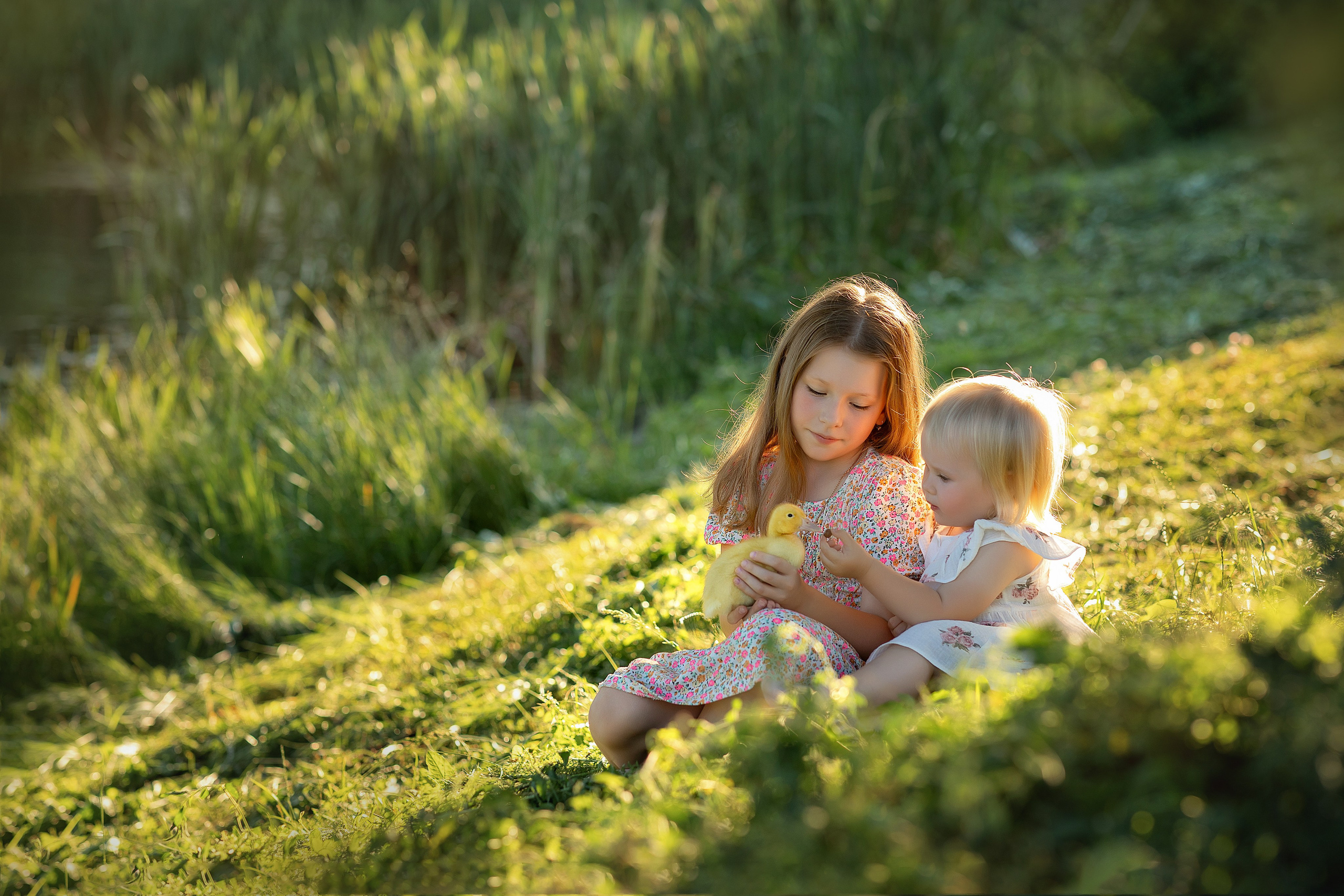 Лера и София. Фотограф на крещение и венчание