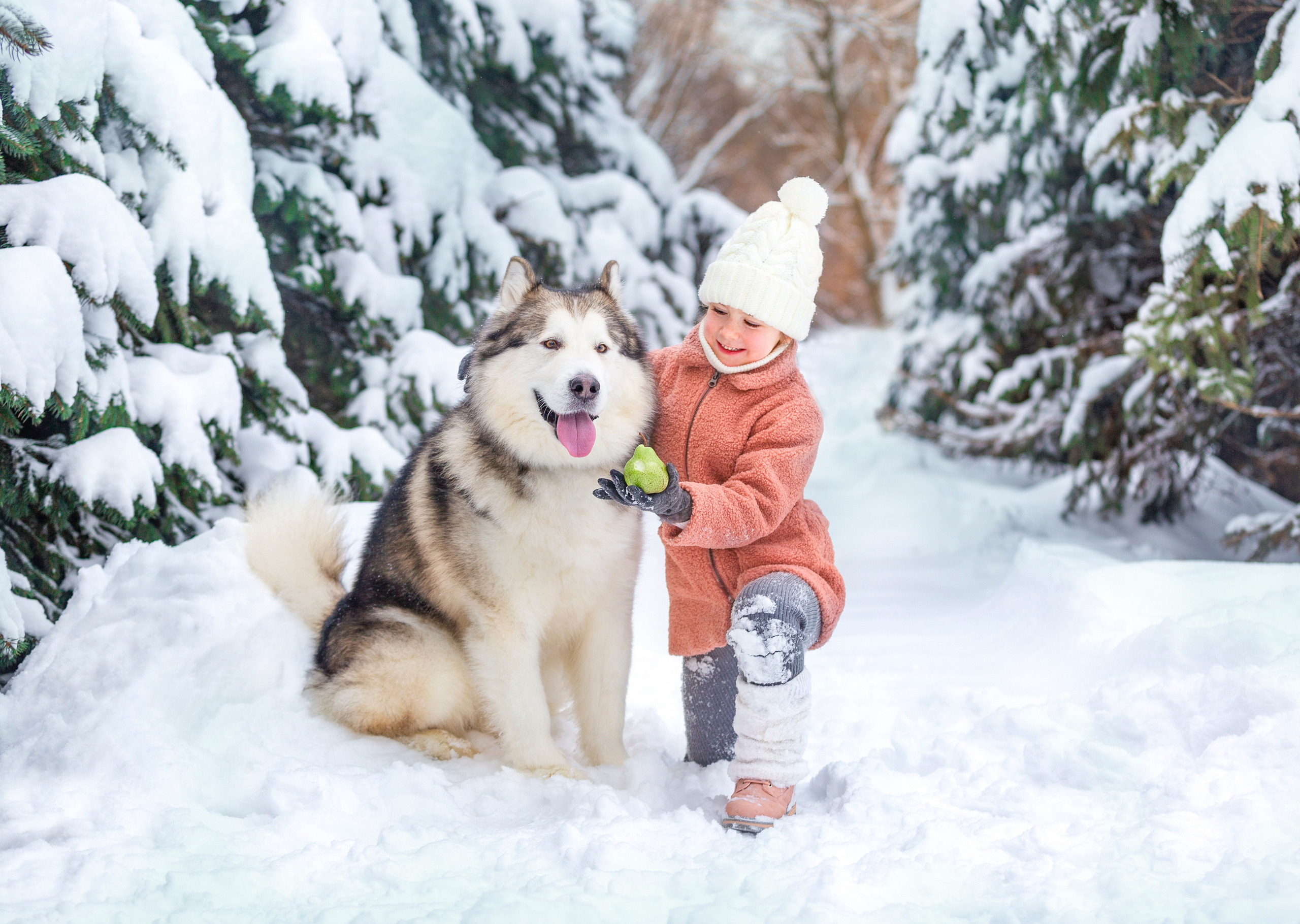 Саша и Феня. Репортажный фотограф в Москве