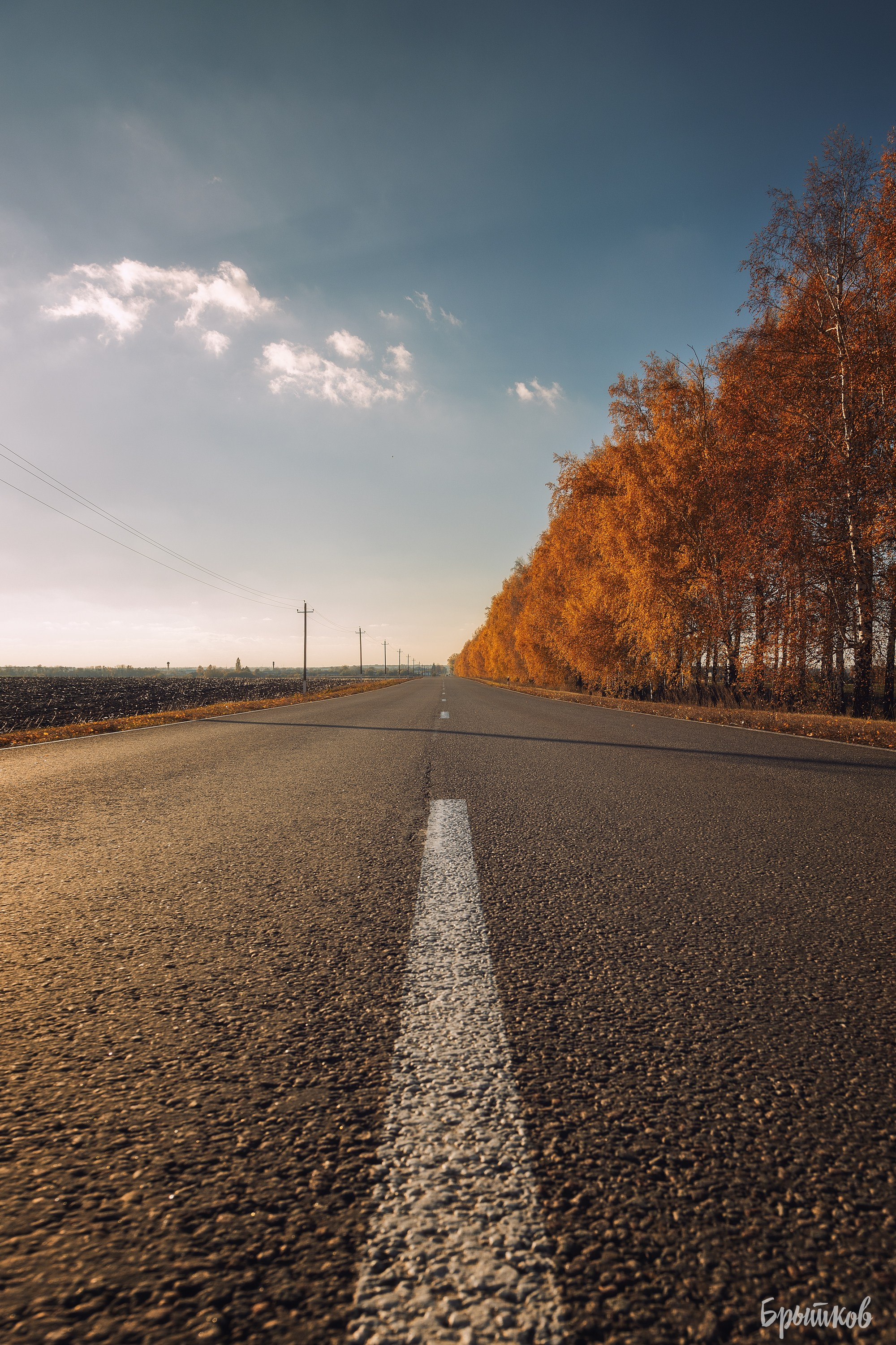 С. Верхопенье. Николай Брытков — фотограф в Туле