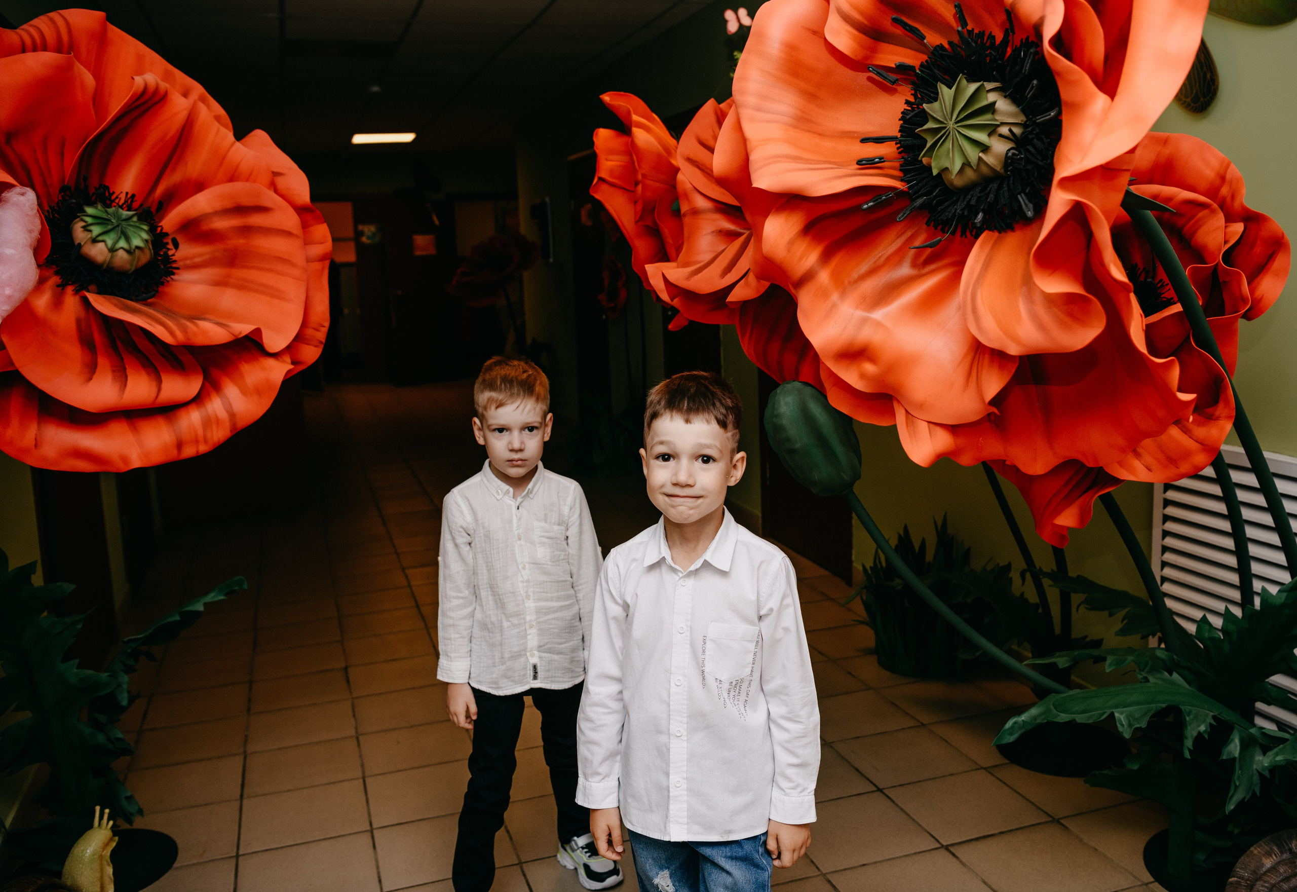 Волшебная страна. Фотограф на выписку из роддома в Москве и МО