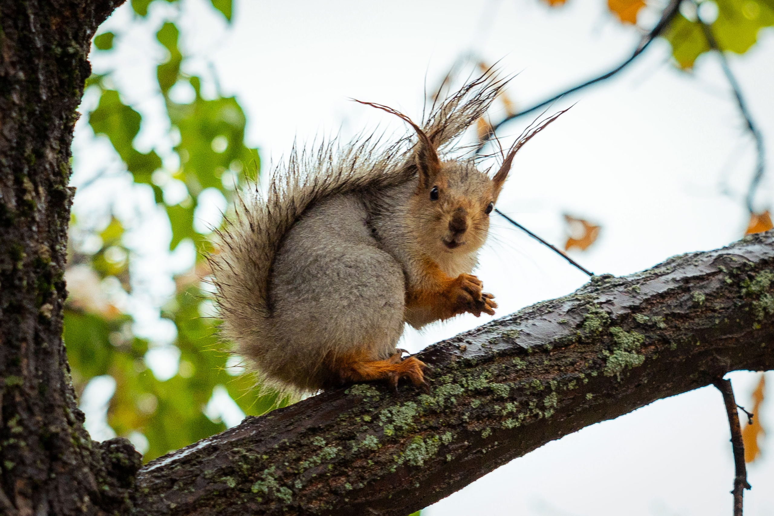 Казахстан (осень 2024). Фотограф Виноградов Константин