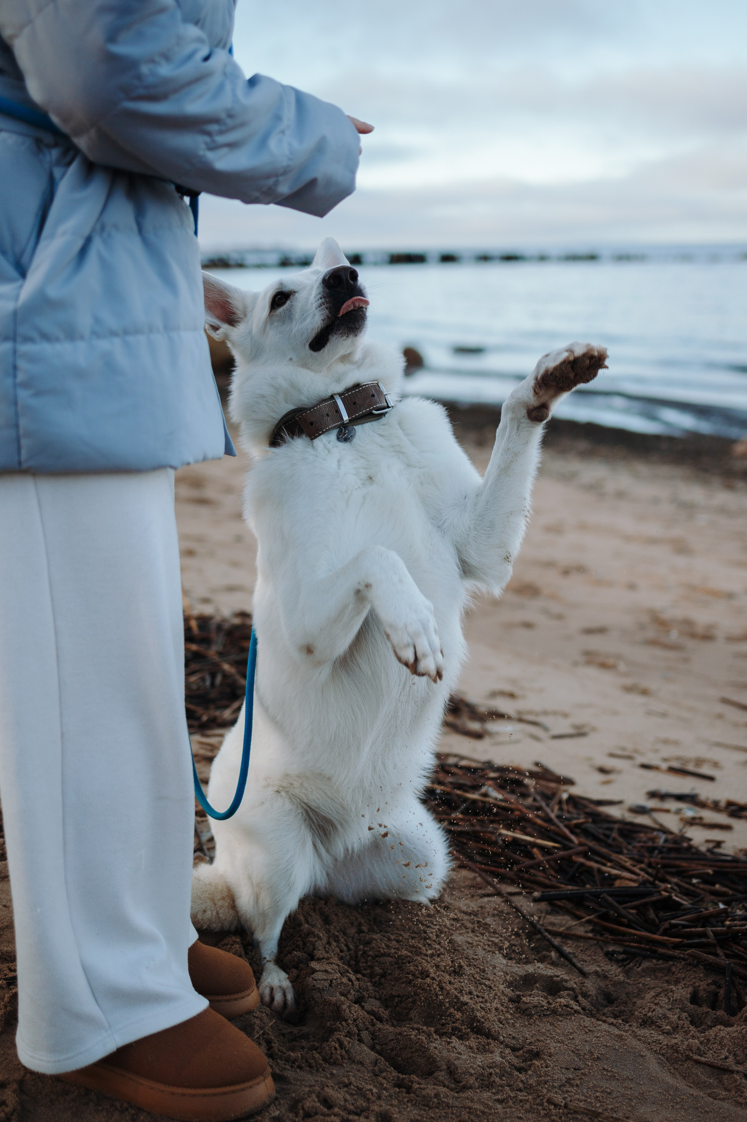 Настя и Эва. Фотограф — Анималист | Санкт-Петербург