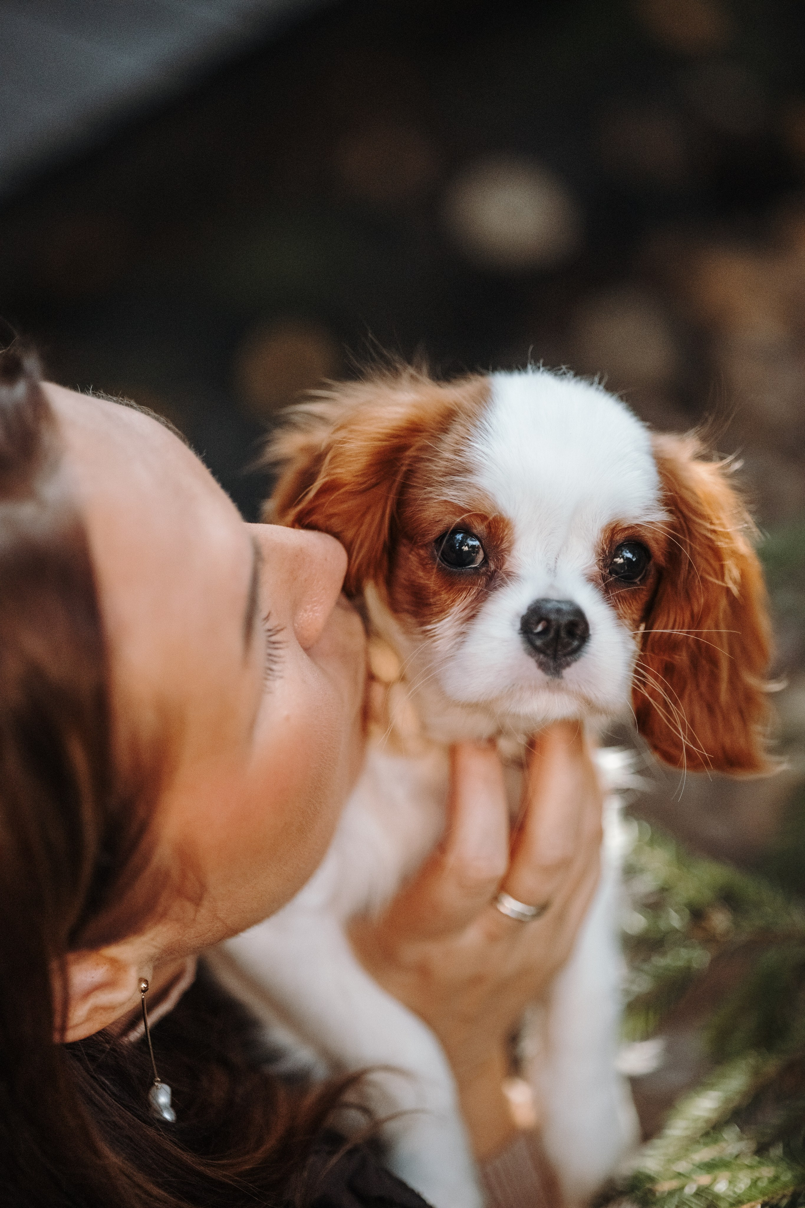 Семейная история. Фотограф — Анималист | Санкт-Петербург