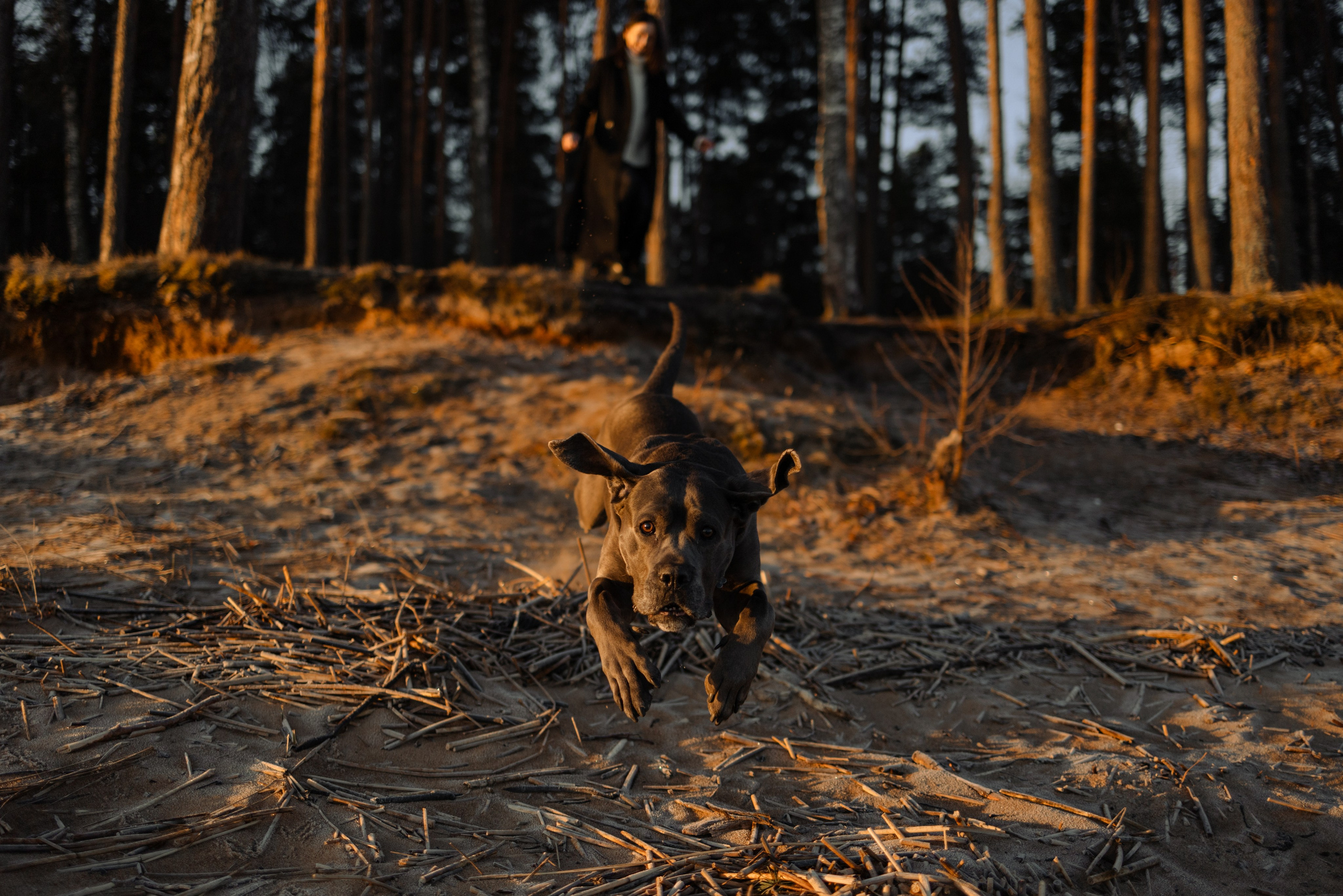 Анна и Лана. Фотограф — Анималист | Санкт-Петербург
