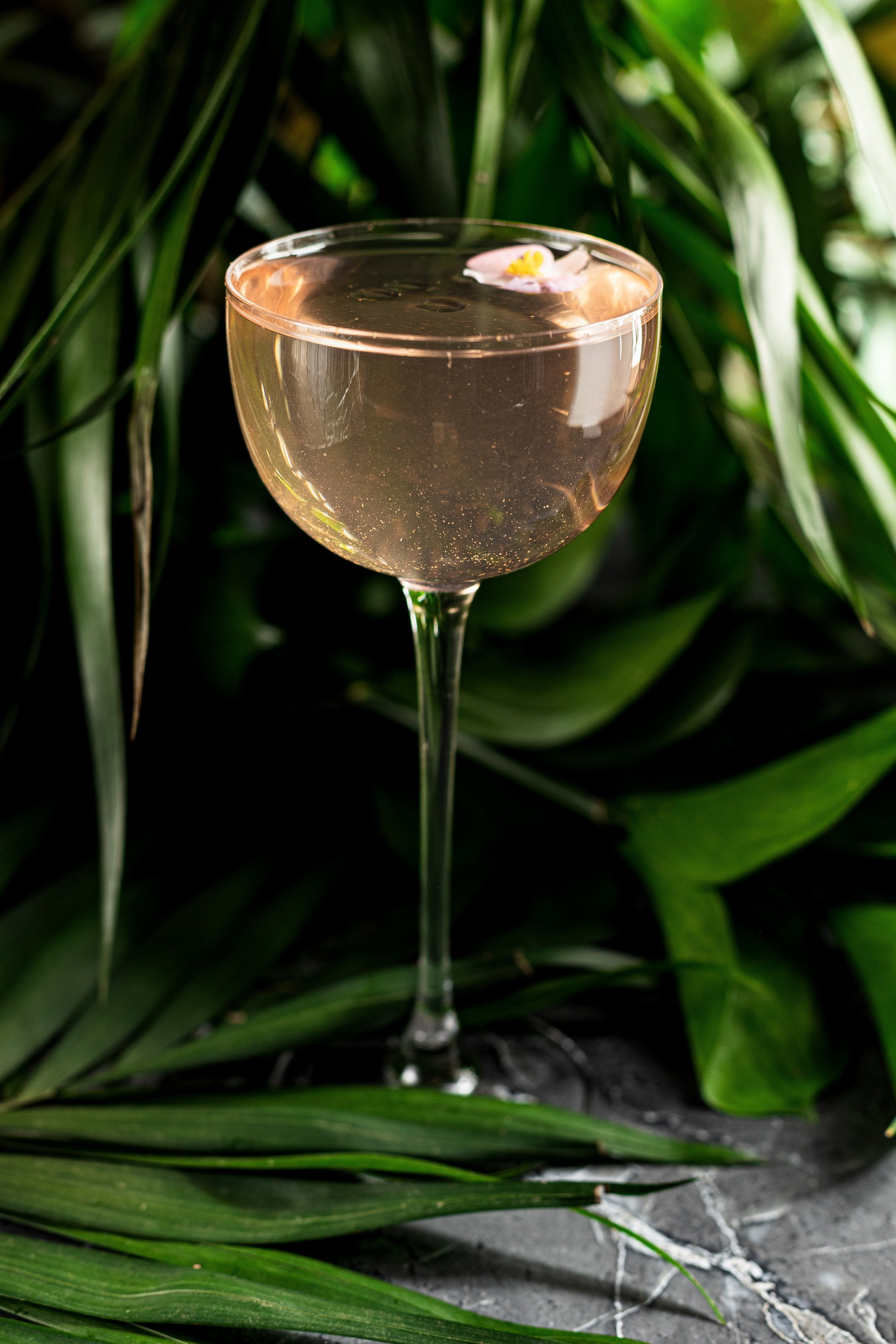 Портфолио Бар. Профессиональный Фуд фотограф в Санкт-Петербурге