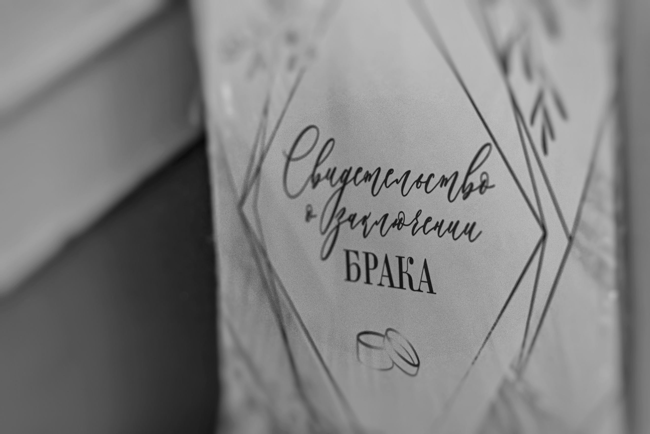 Свадебное. Фотограф Александр Каничев