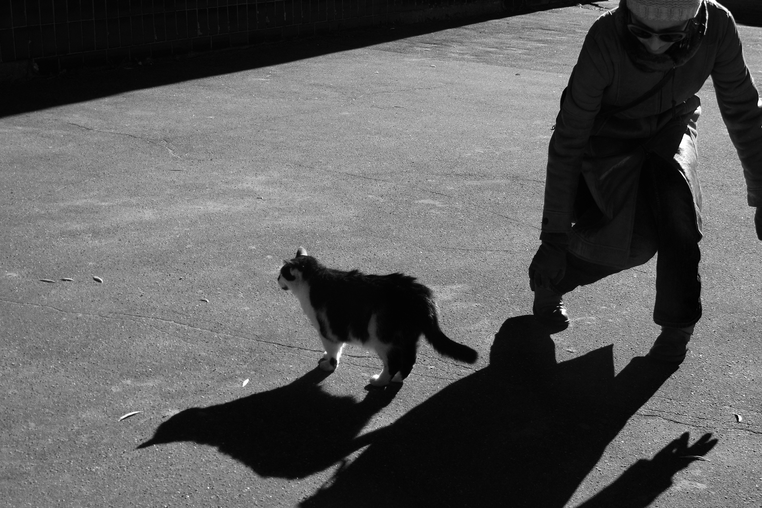 Жанр. Фотограф Лагутин Анатолий