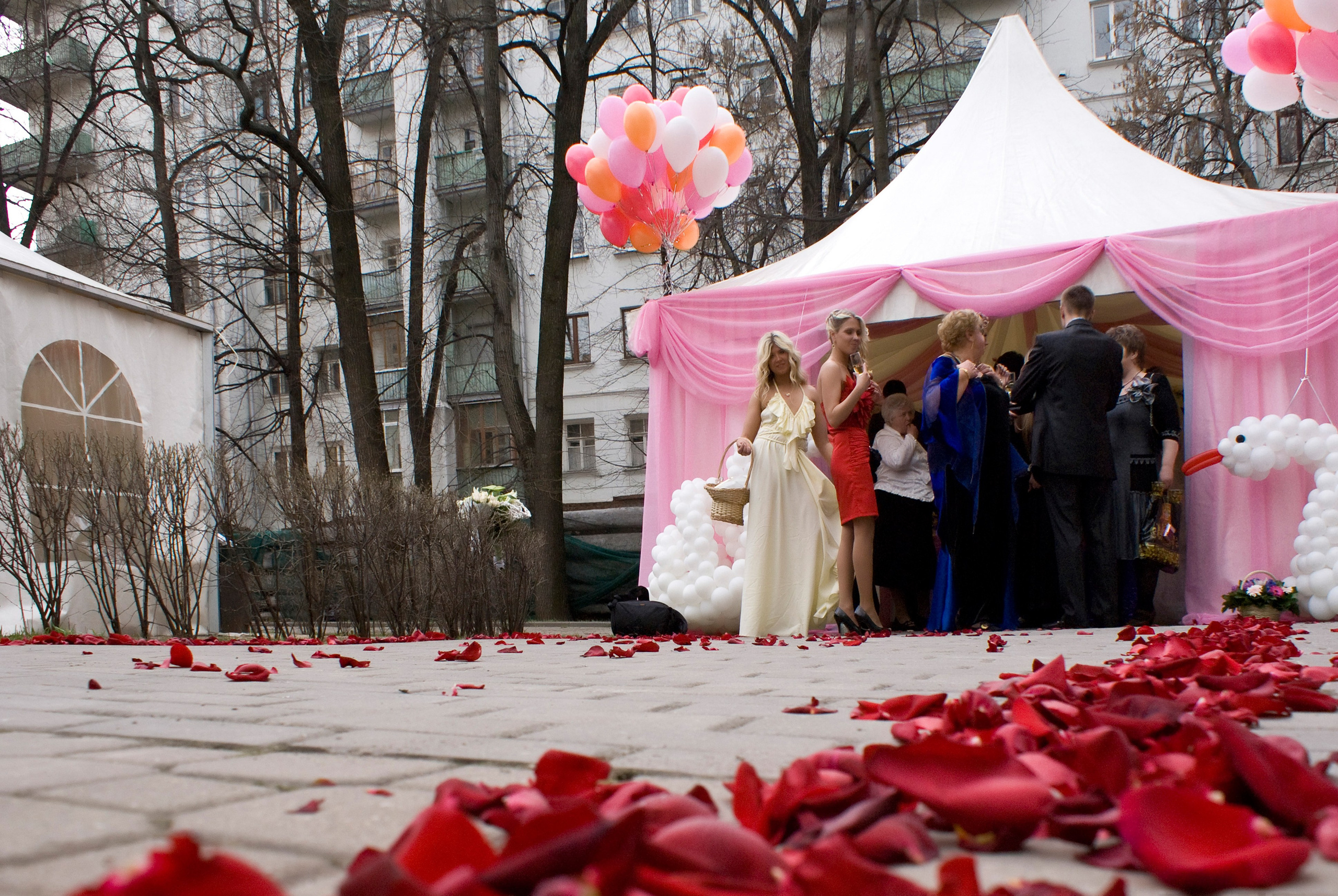 Паша и Даша. Фотограф Лагутин Анатолий