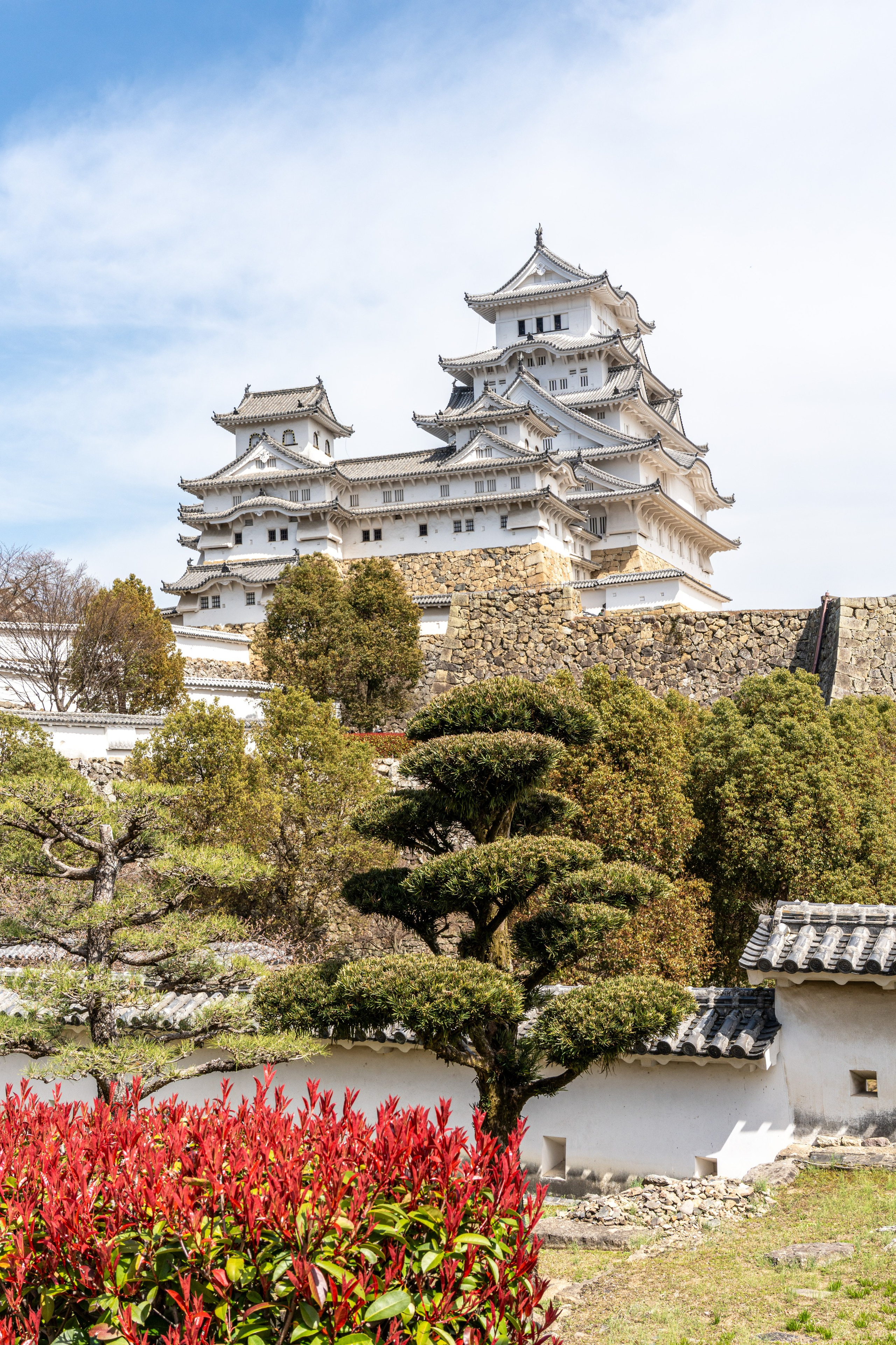 Япония, сакура. Творческие сьемки