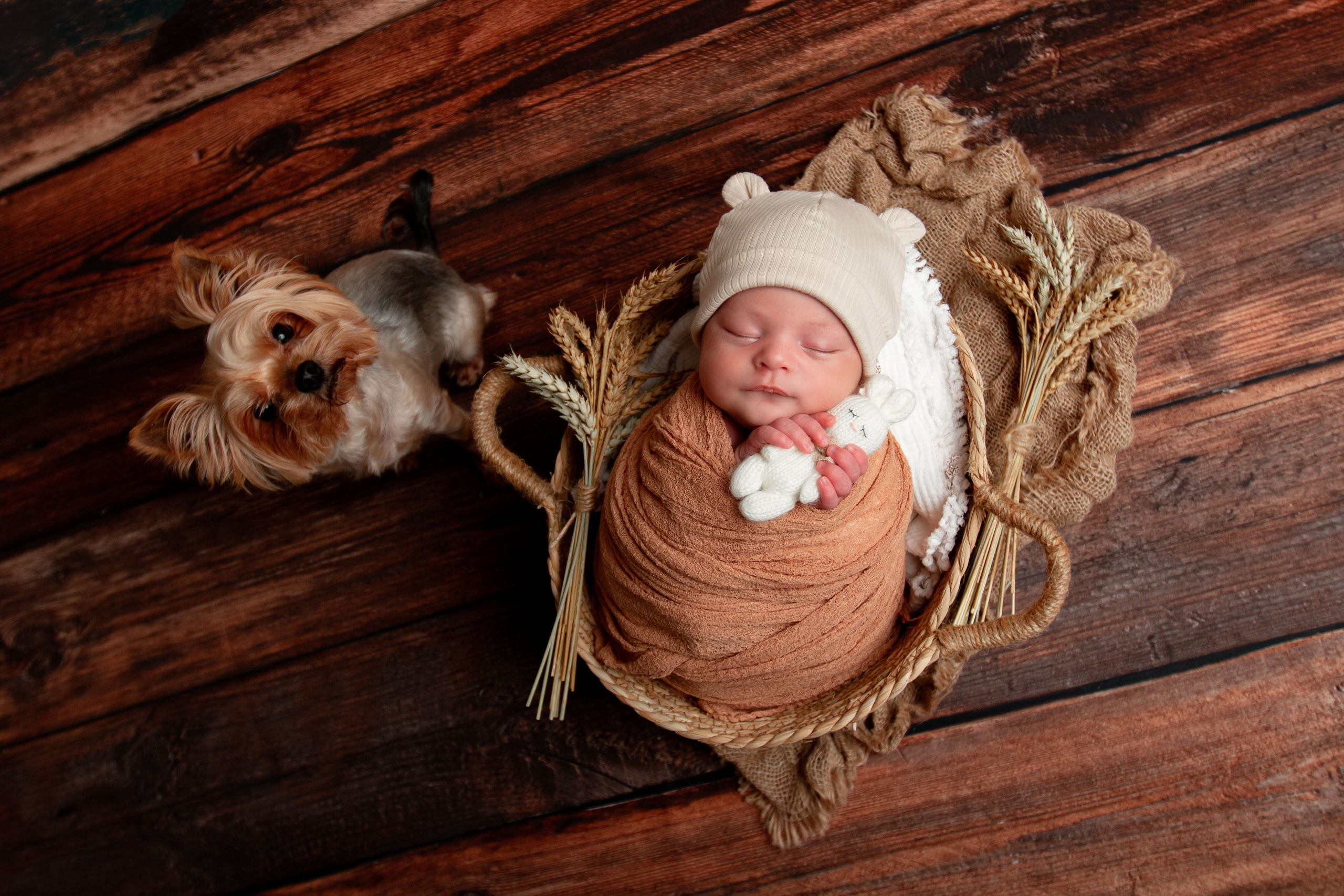 Собачка охраняет сон малыша