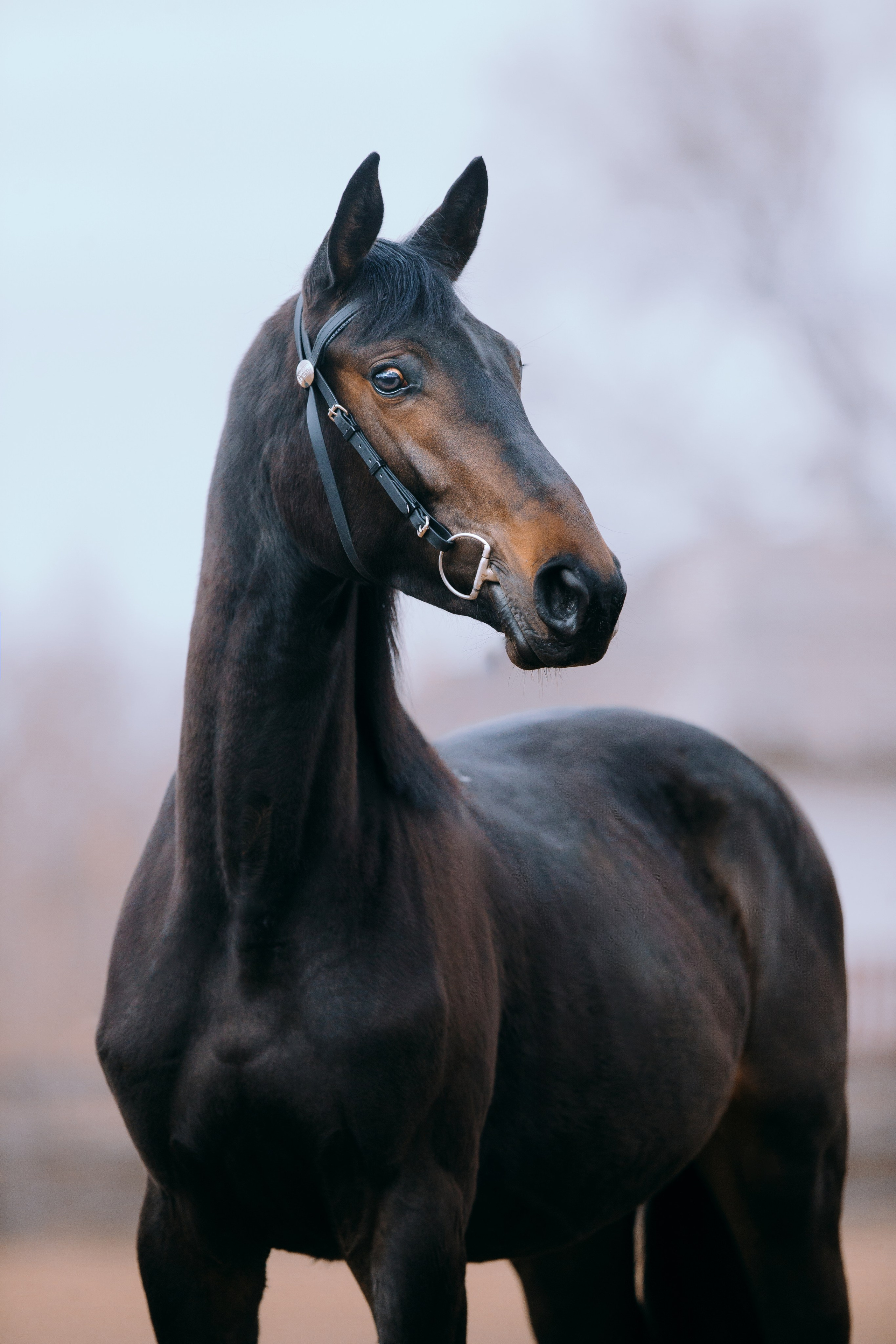 На природе. Фотограф-анималист Ксендзова Кристина