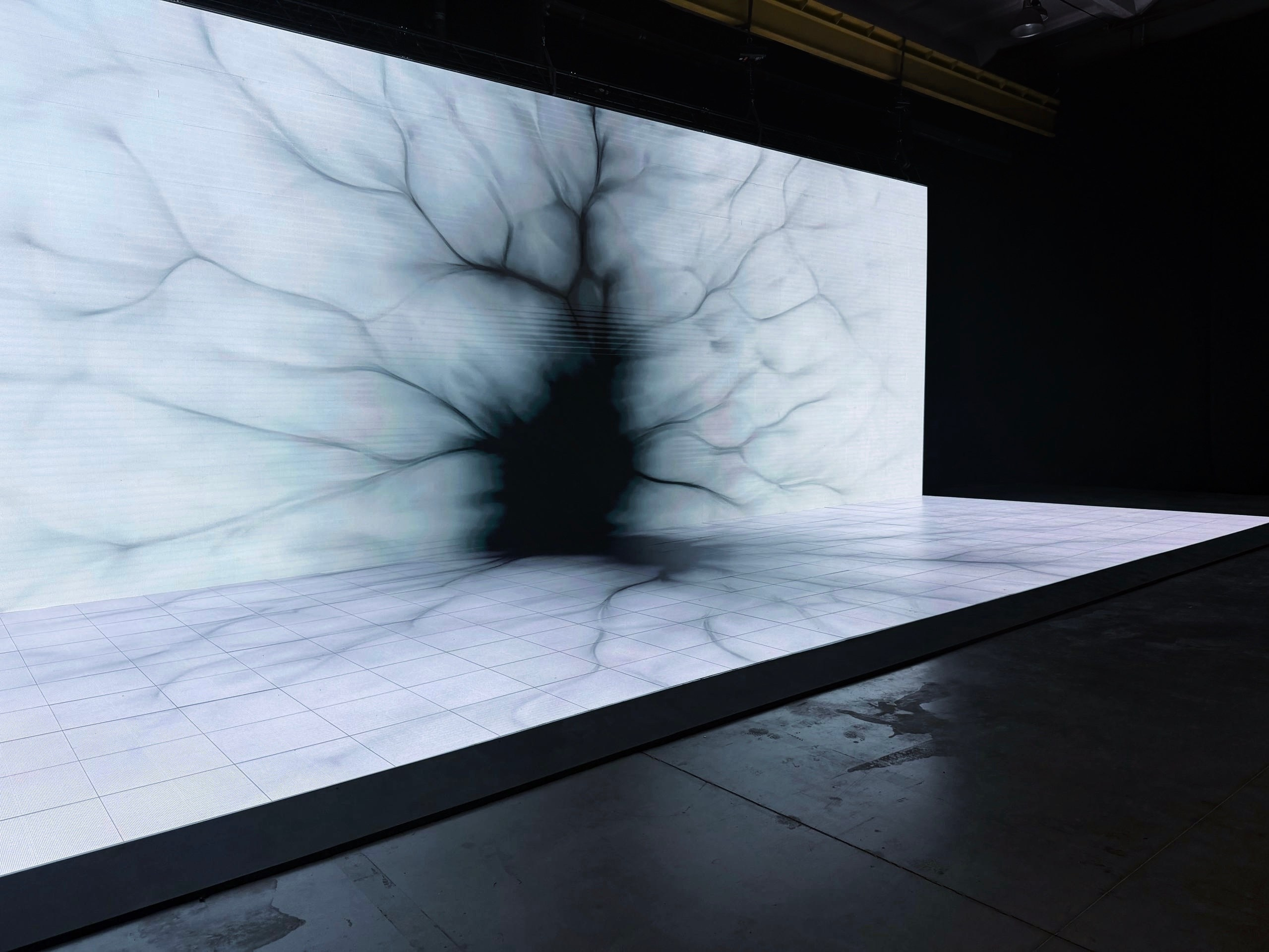 Траектории интервалов. Фотограф в Санкт-Петербурге — фотопрогулки и фотосессии