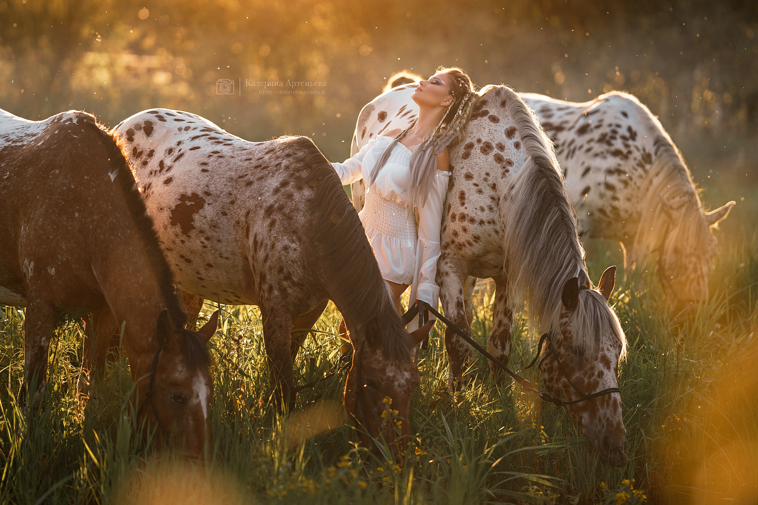 Фотосессии с лошадьми. Фотограф Артемьева Катерина|фотосессии с лошадьми