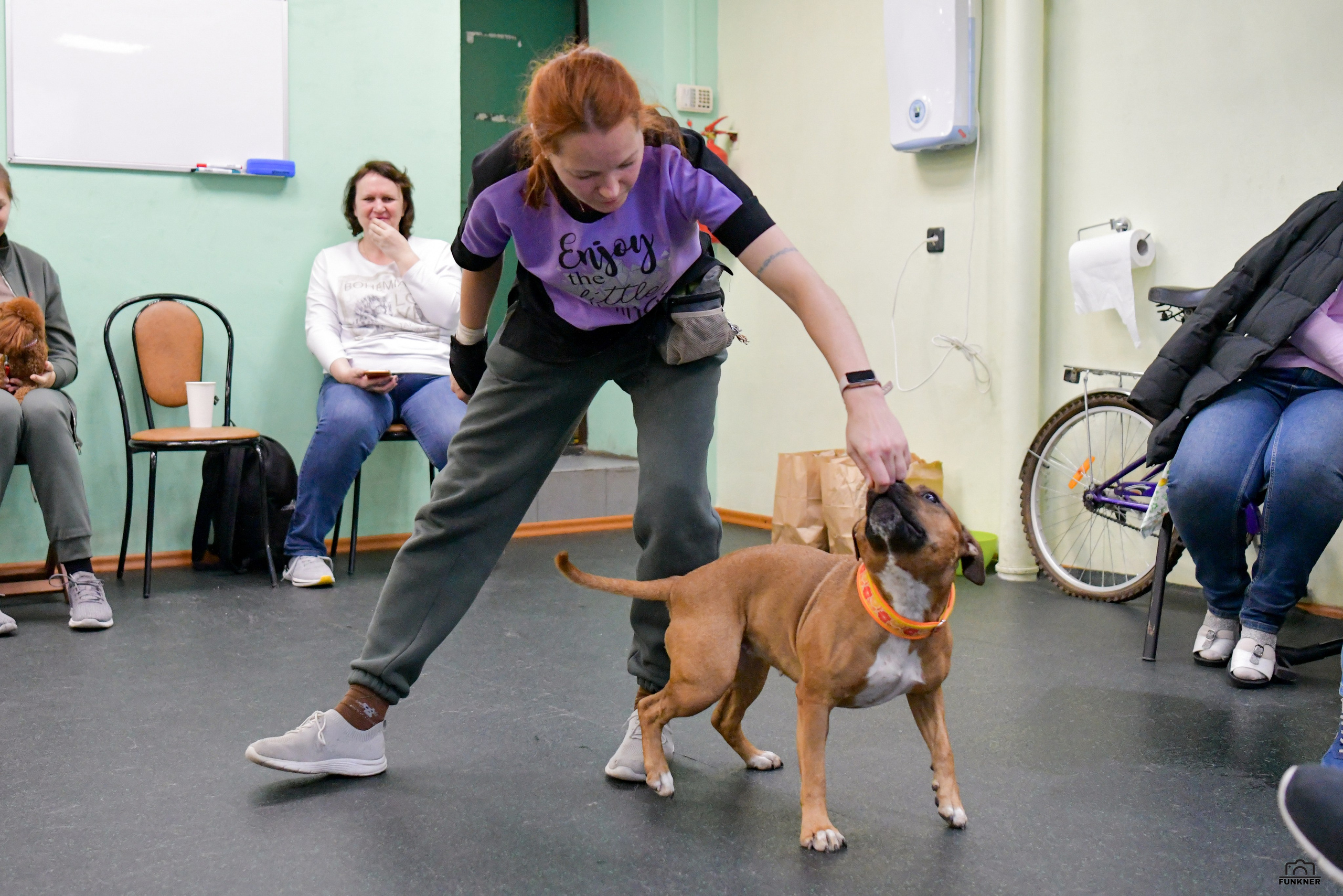 Кинологический клуб «Бодрый хвост». Свой взгляд через объектив