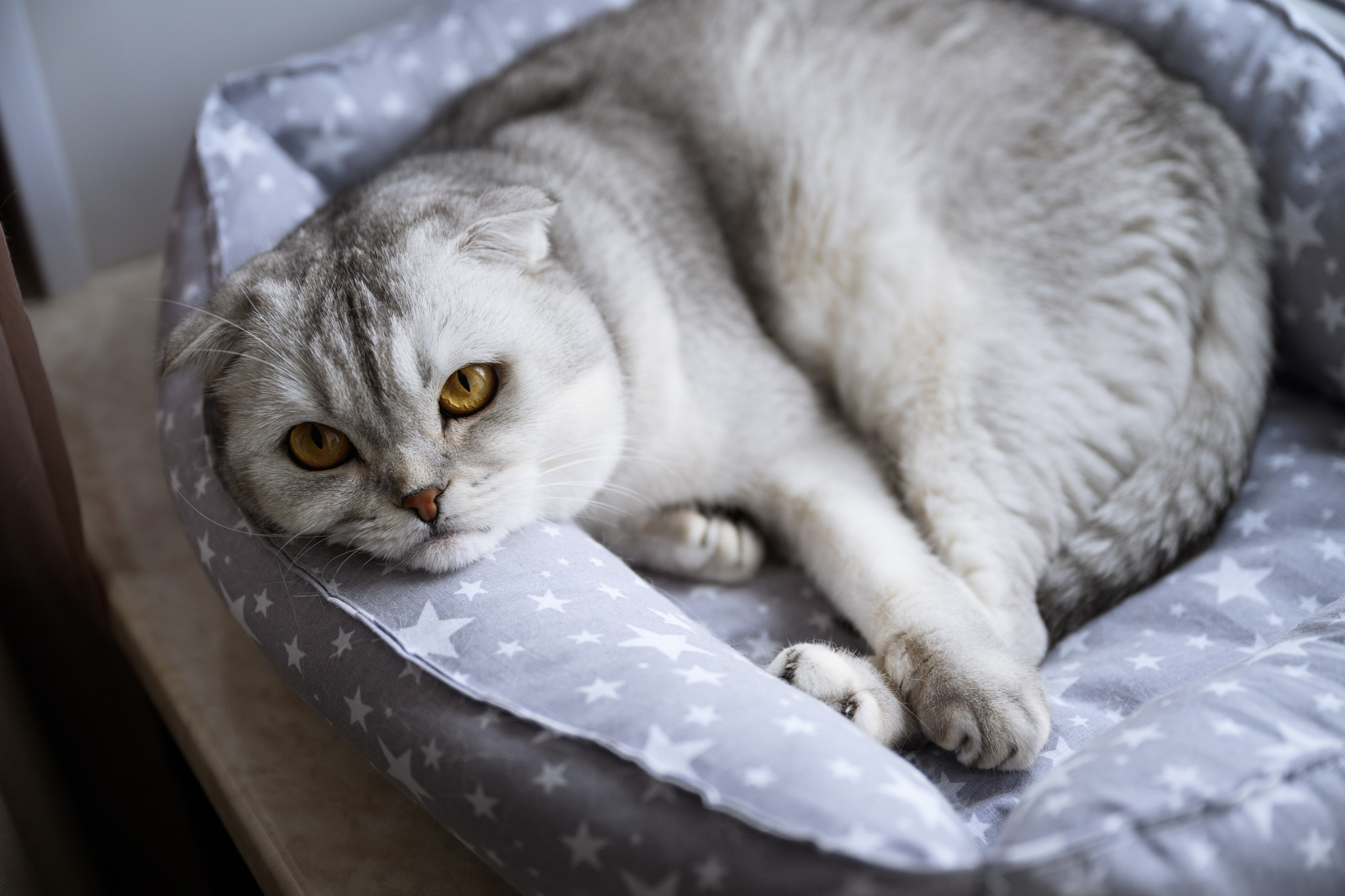 Алексей и Даша. Главная