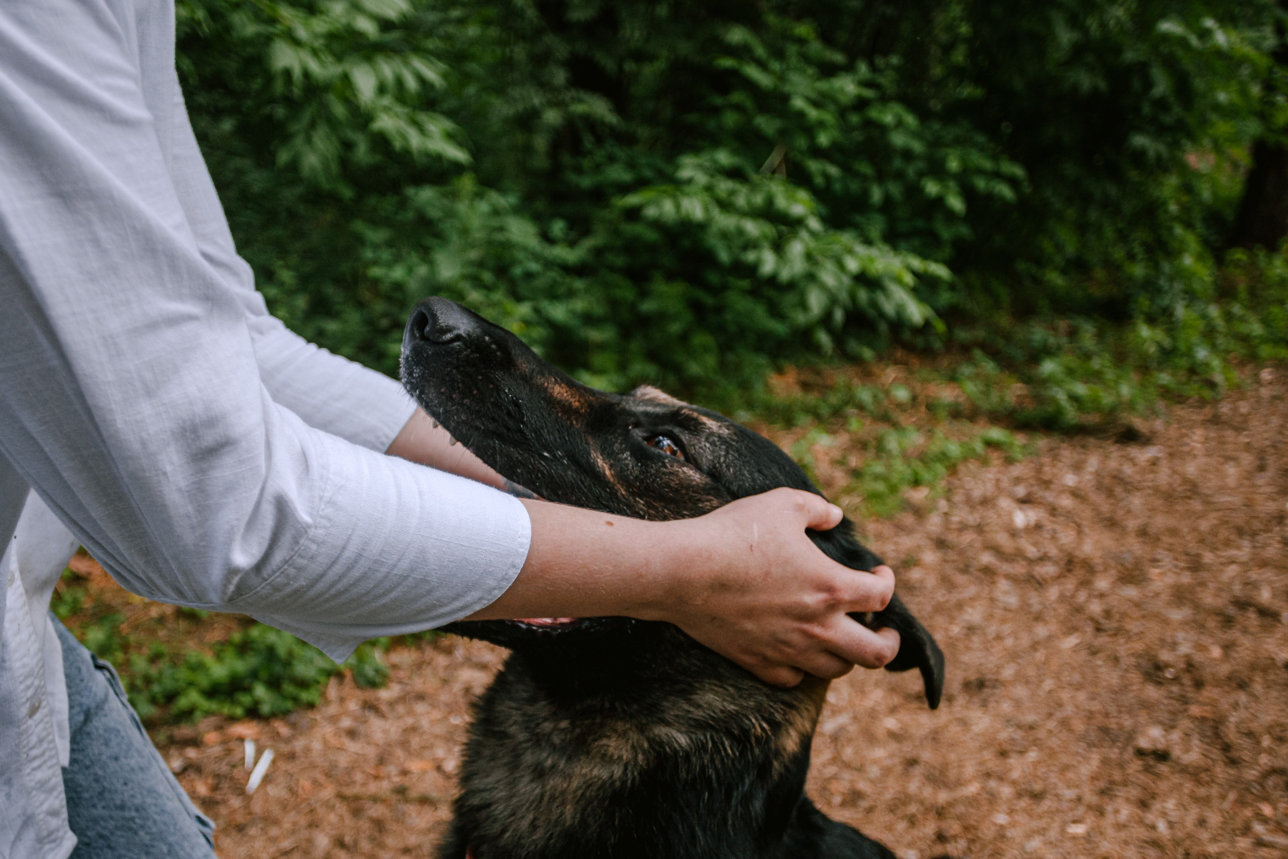 Лесная летняя фотопрогулка. Фотограф-анималист Татьяна Степанова