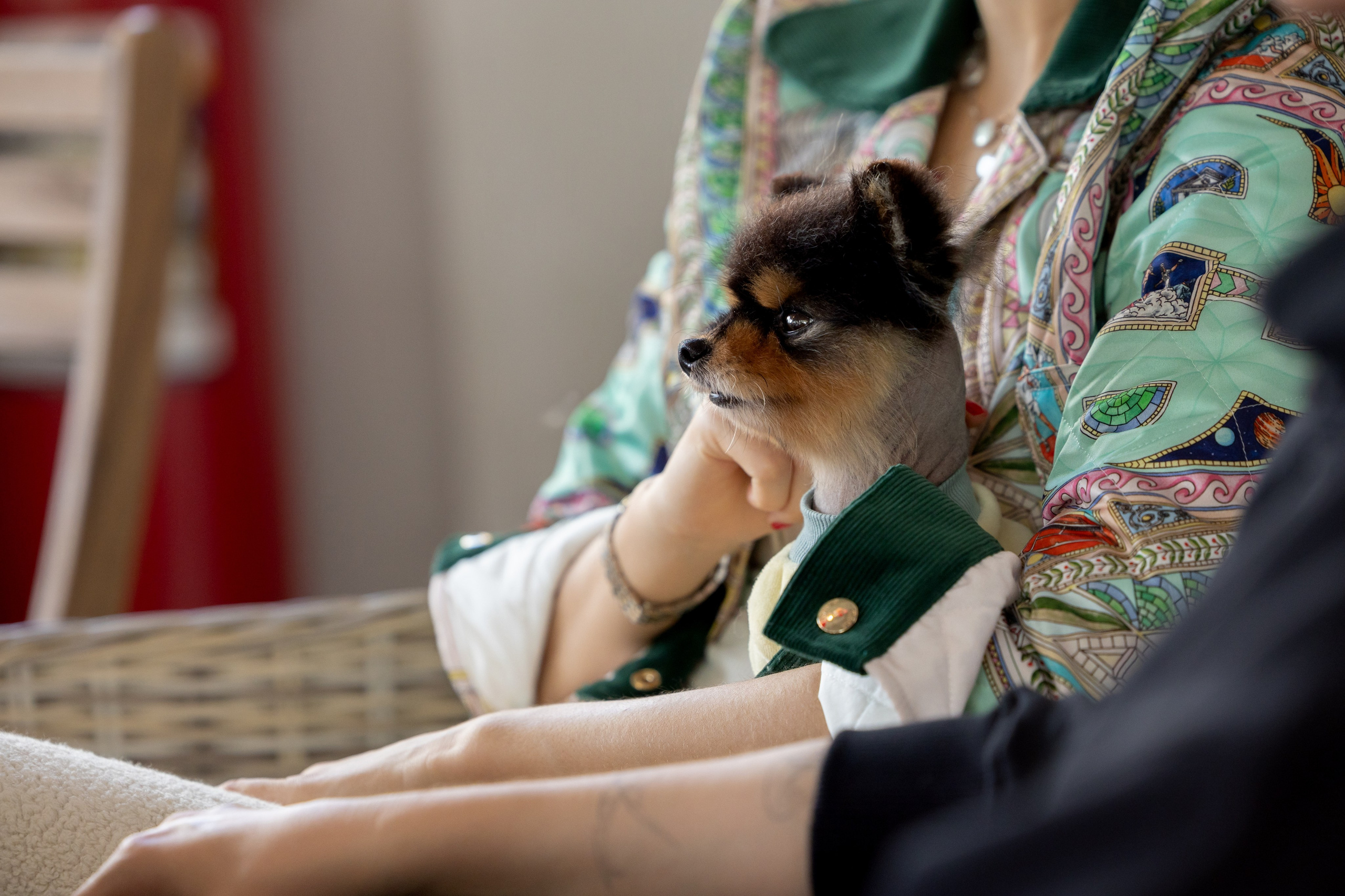 Bubble party. Обо мне