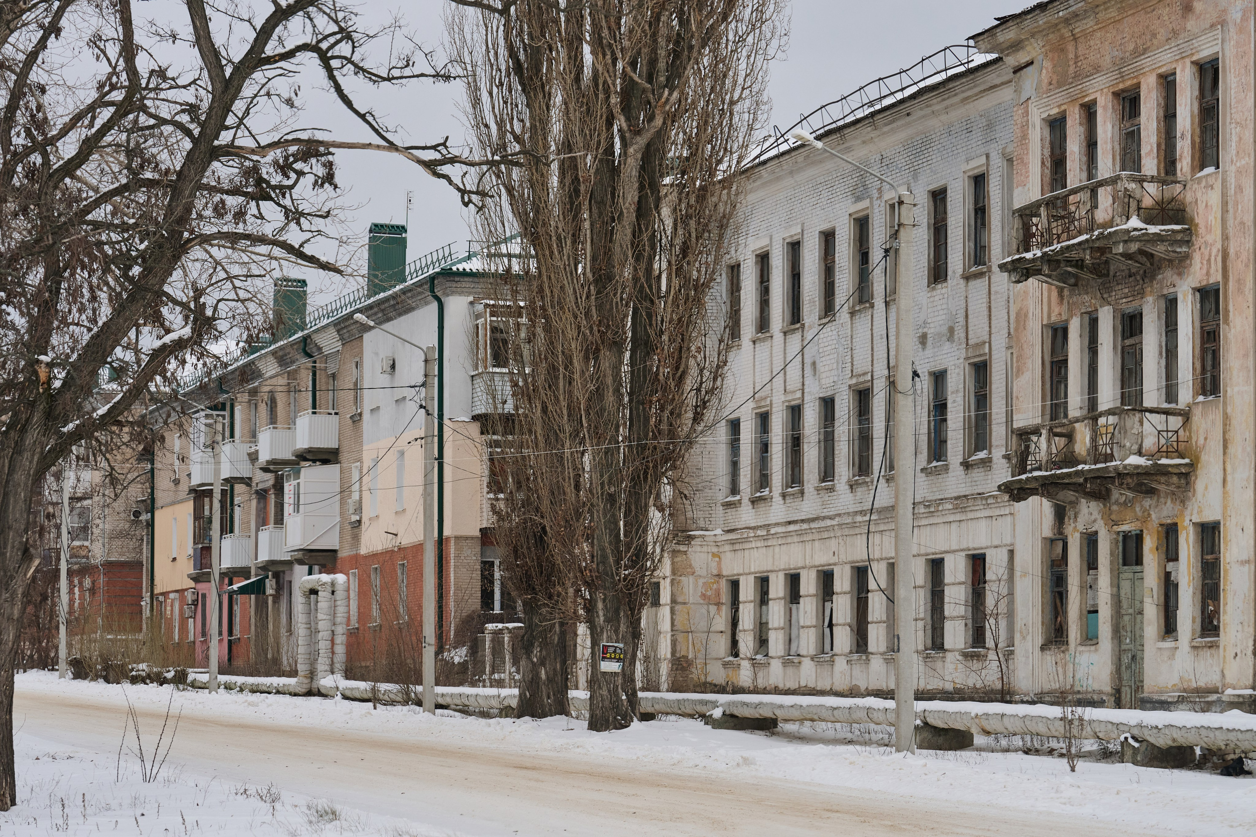 Рубежное. Январь 2026. Фотограф Роман Адлер